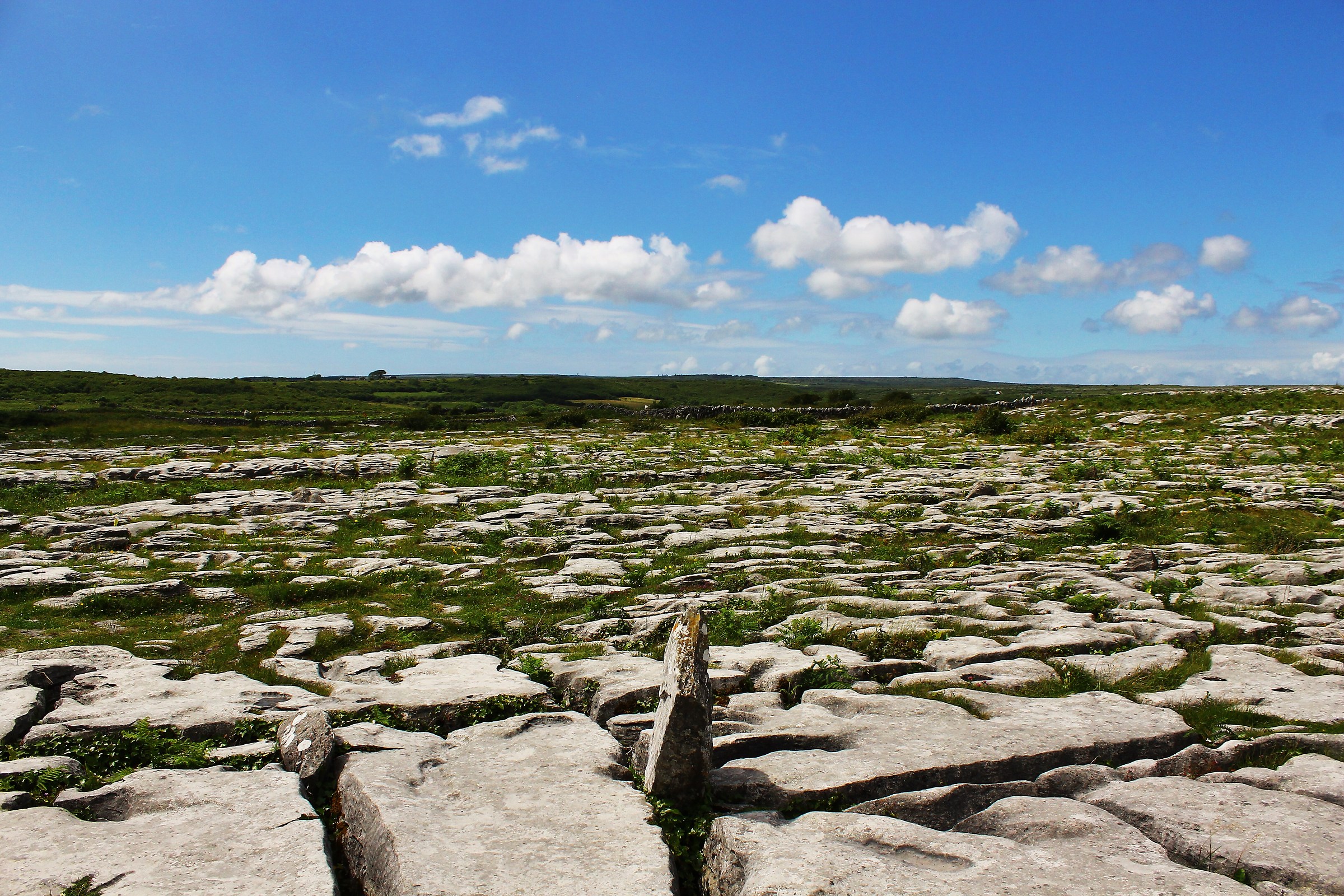 The Burren