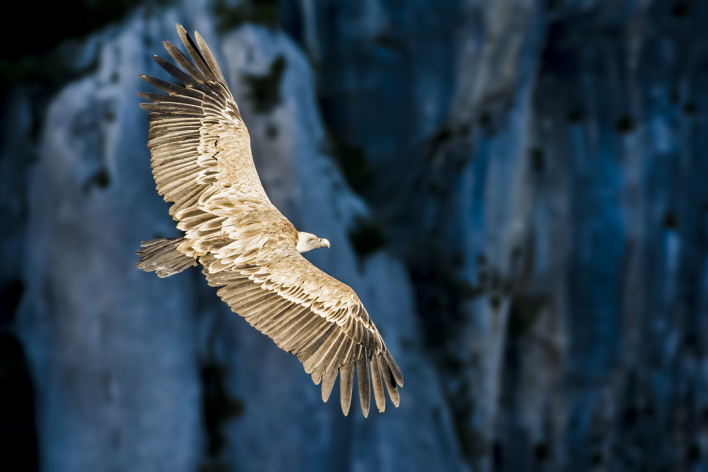 The last ray of sunshine