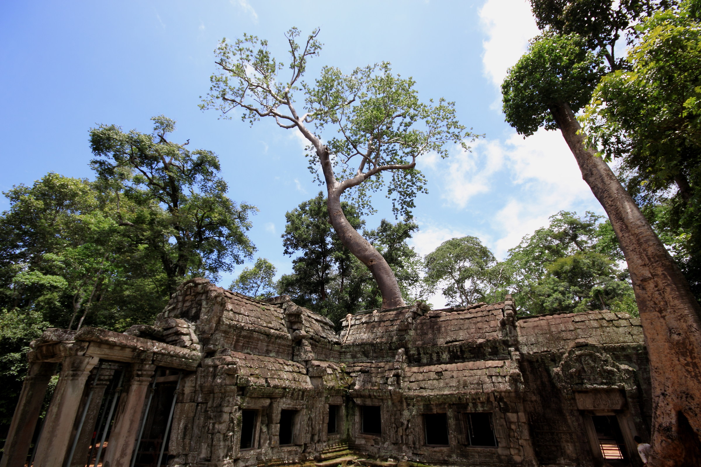 angkor