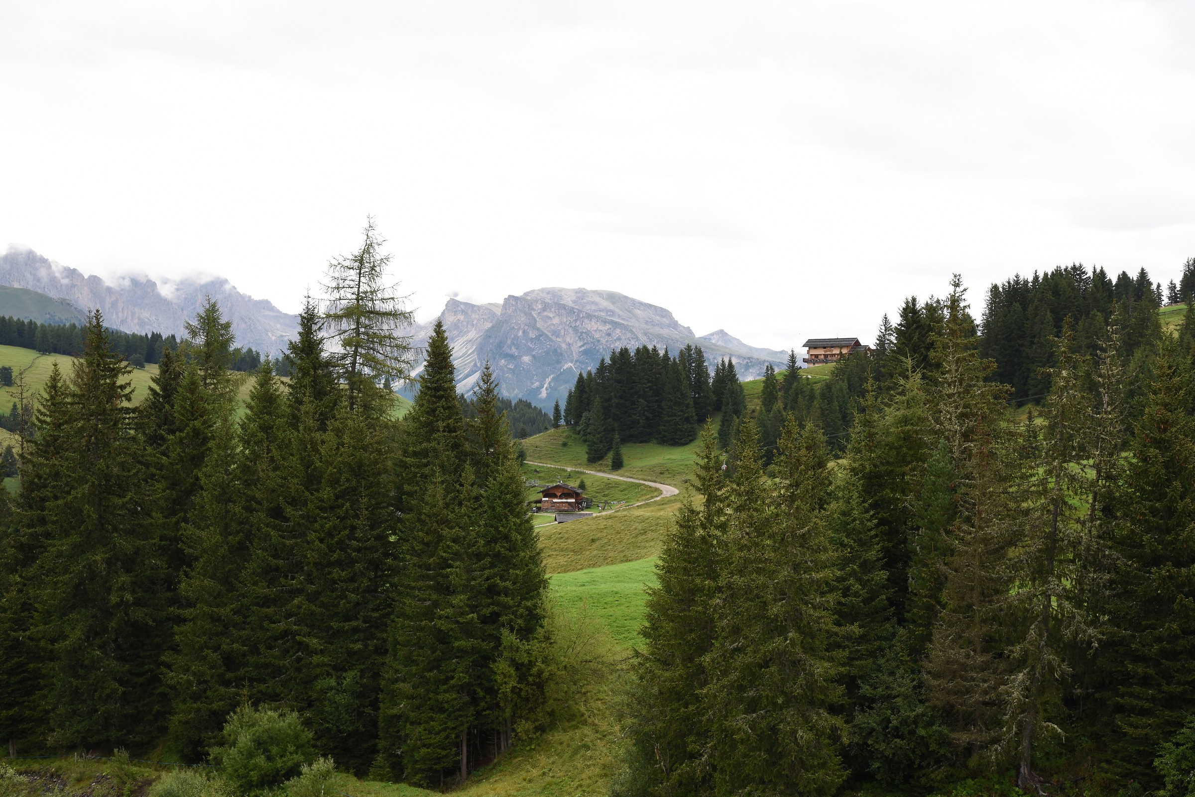 Alm valley landscape