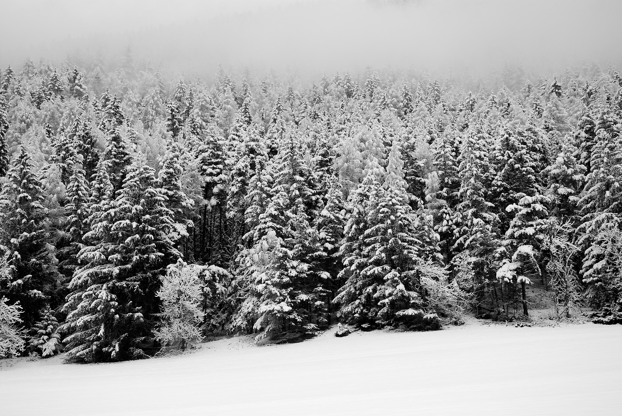 After a heavy snowfall