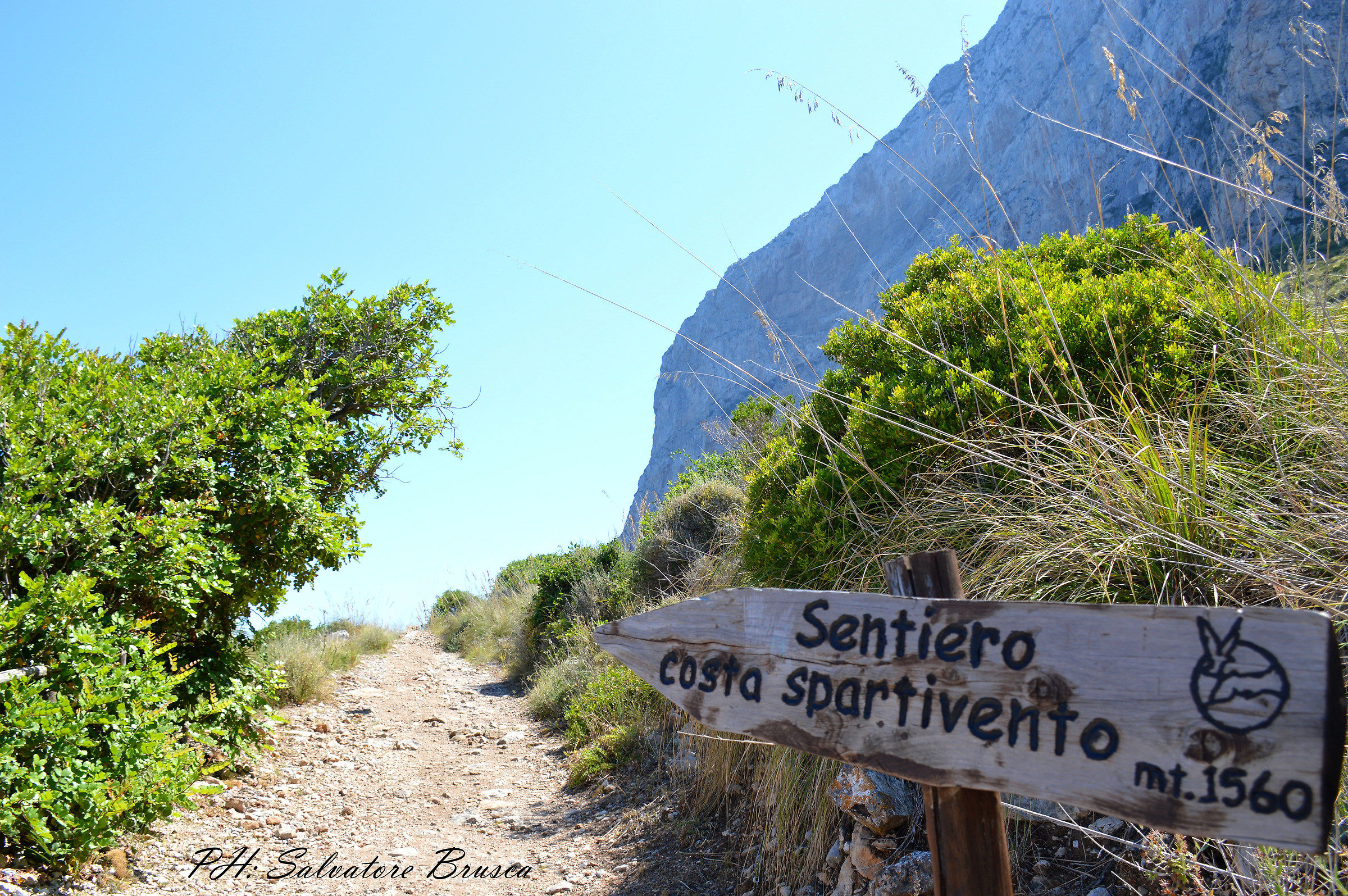 Glimpse Reserve of Capo Gallo