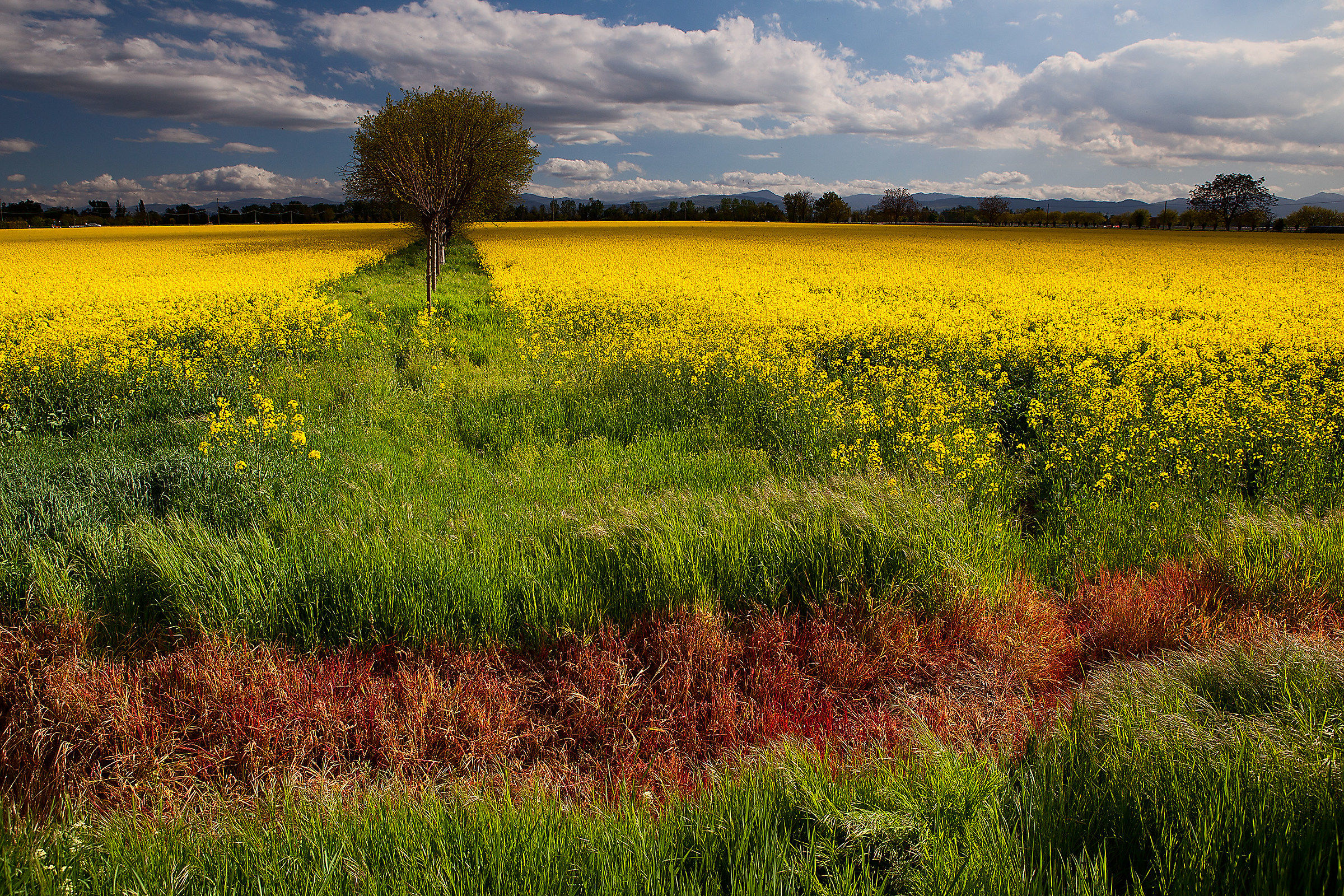 All colors of the world