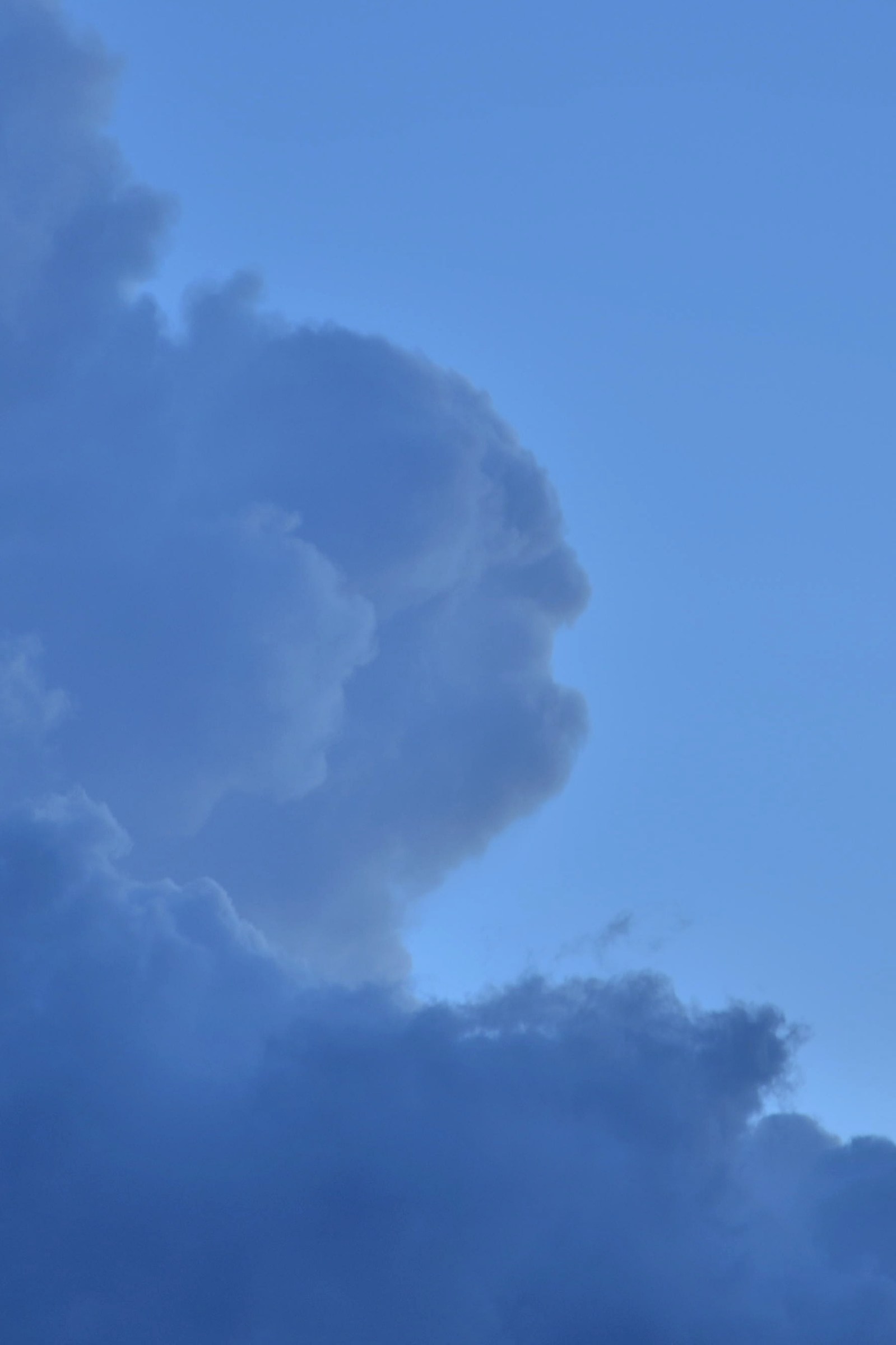 Un attimo...un volto