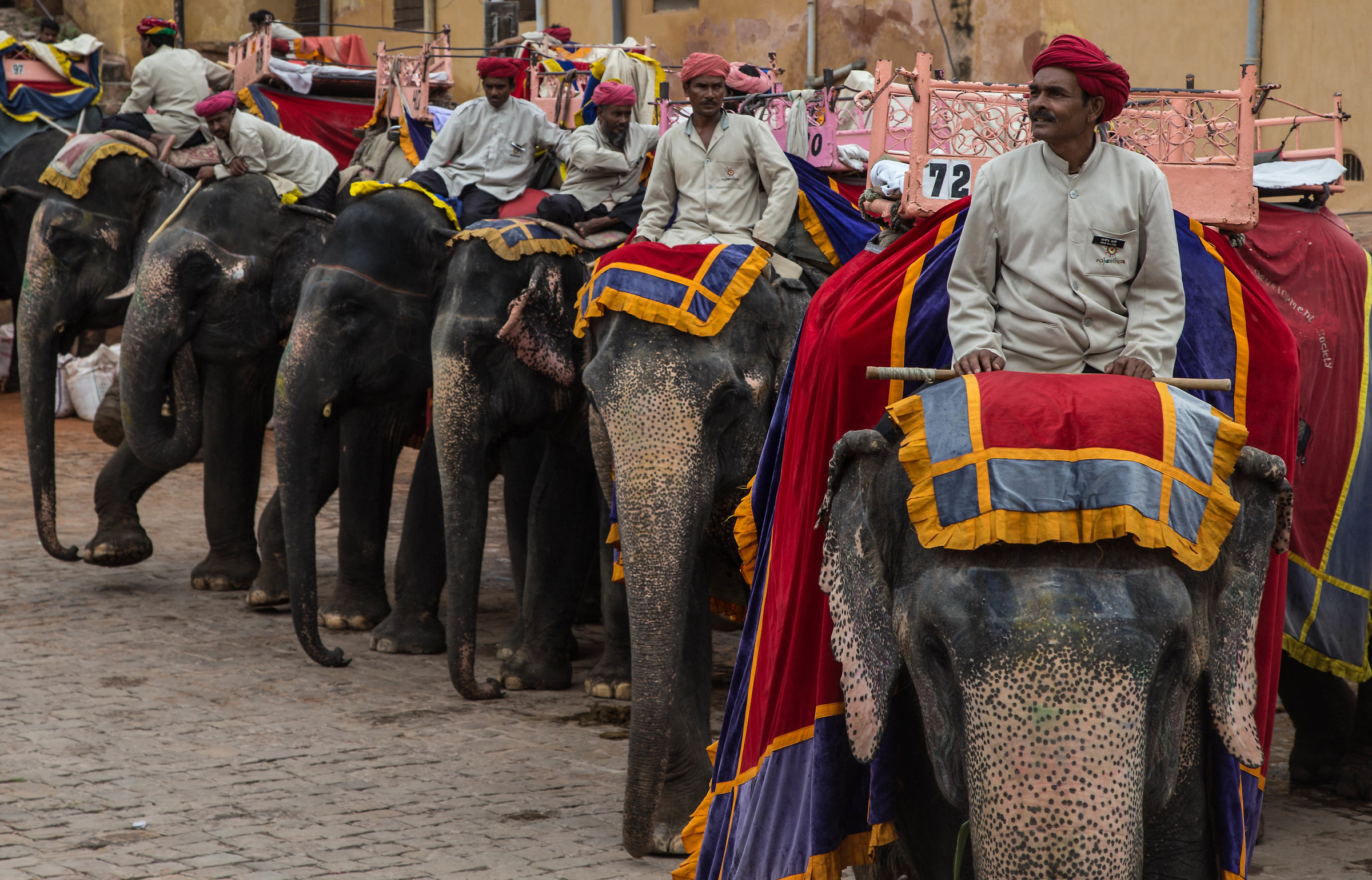 Amber Fort - Parade of Elephants