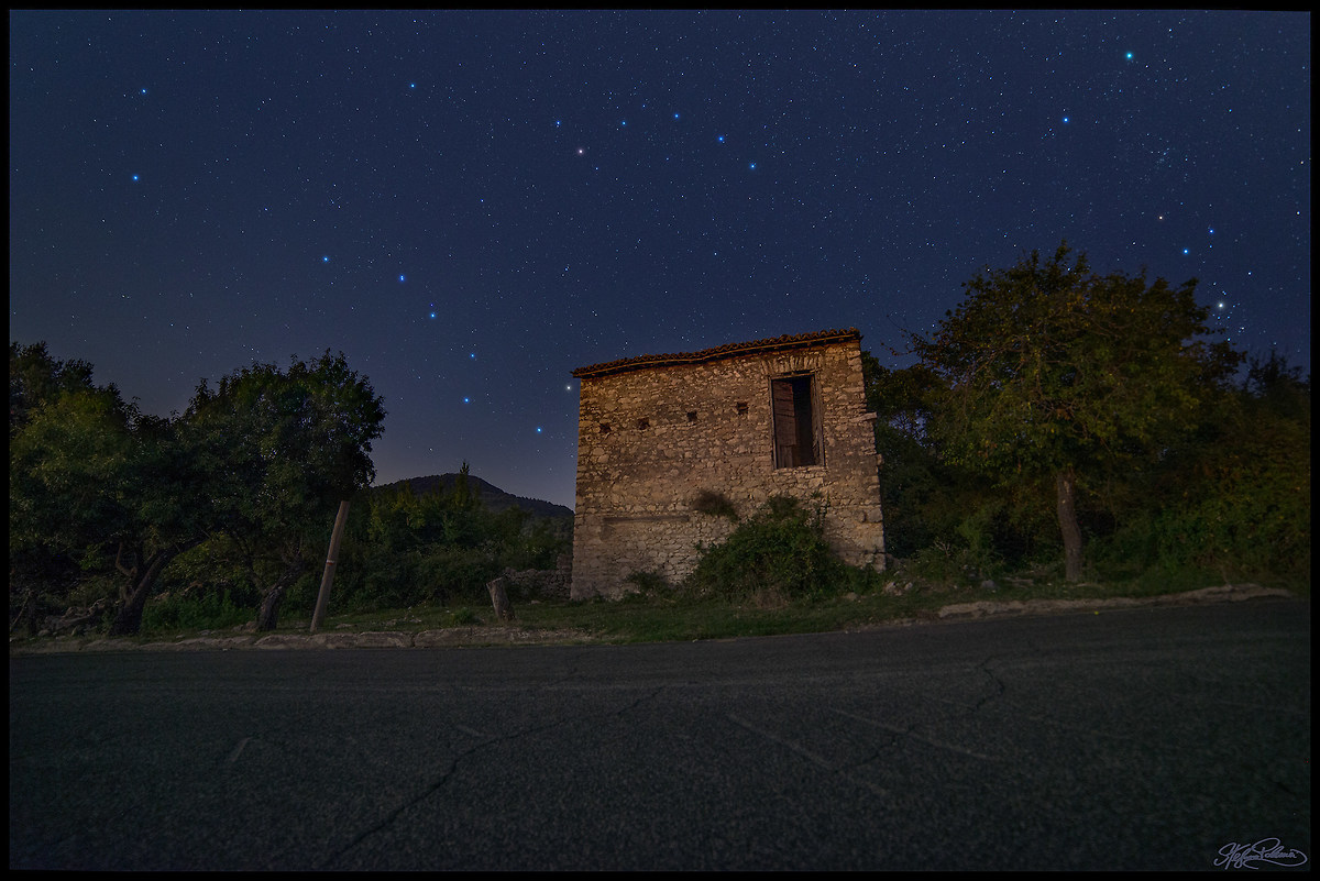 I sette buoi 'rientrano' nella stalla