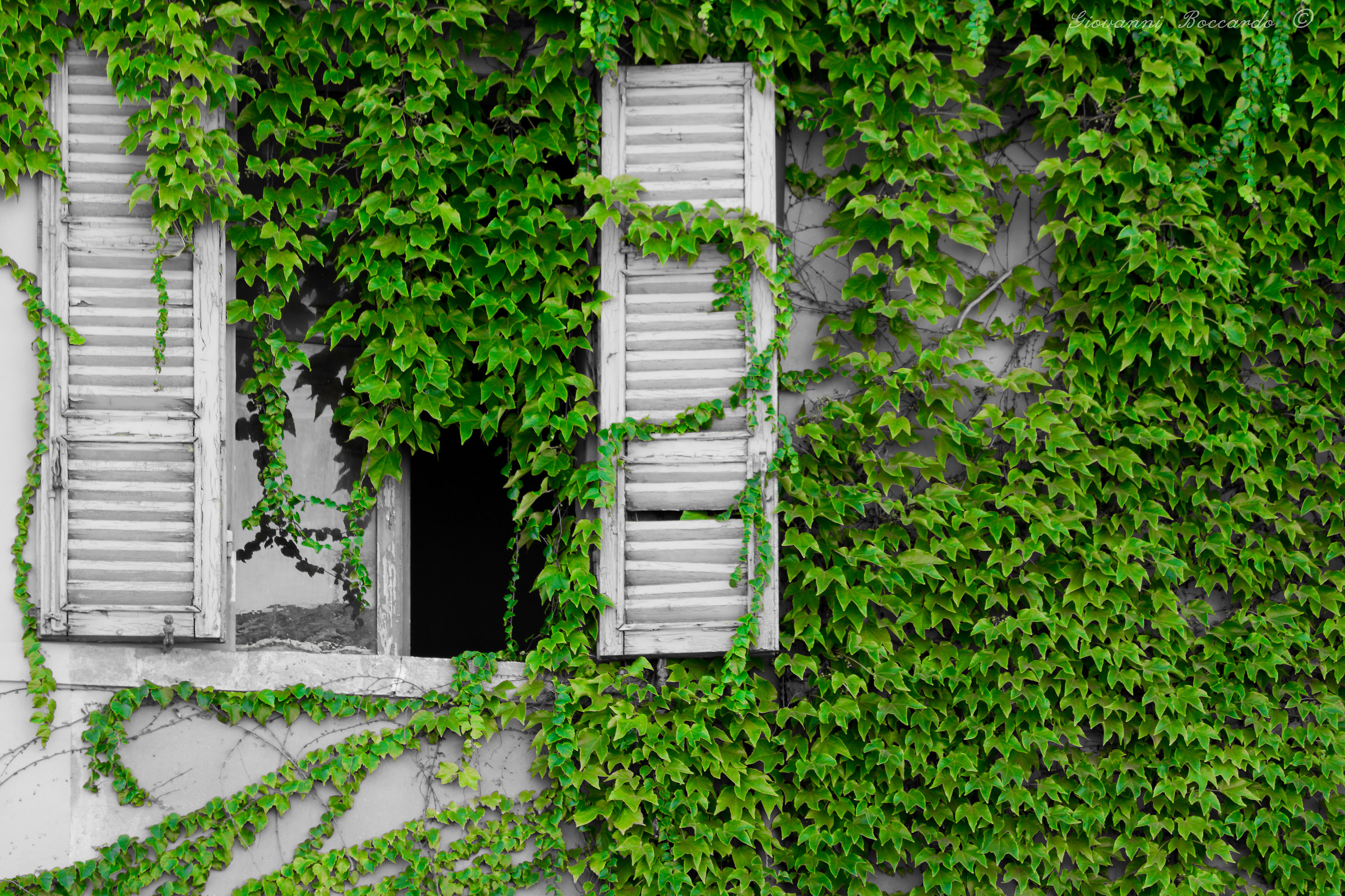 ... Priority to green