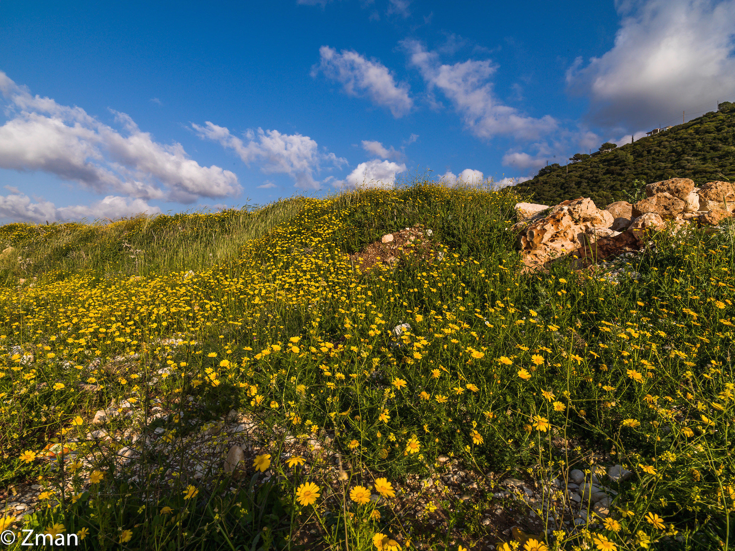 Pebble Beach a Al Naqoura