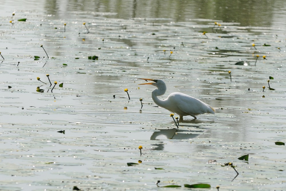 anche oggi è andata