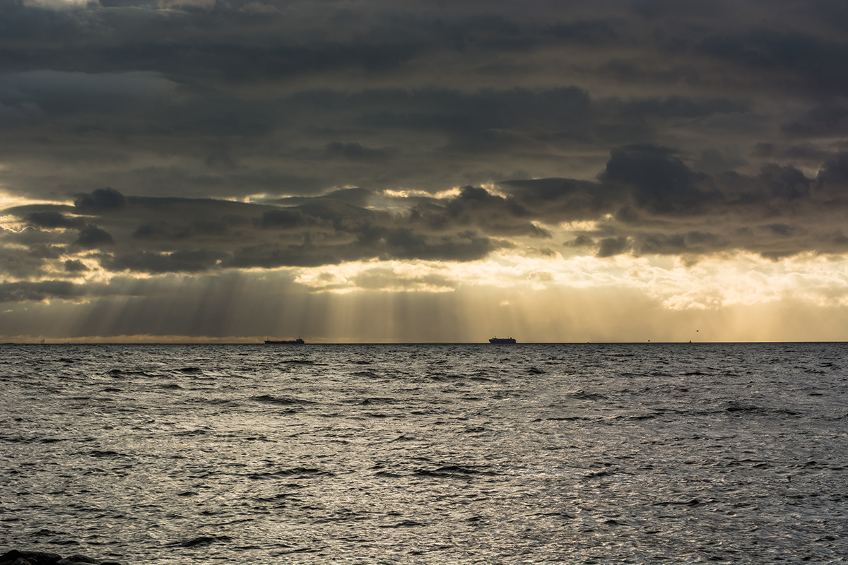 The see and the light