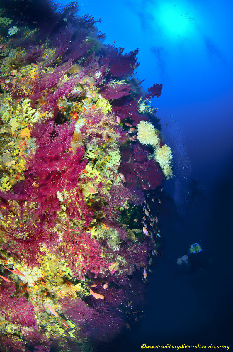 Parete Picchi di Biagio