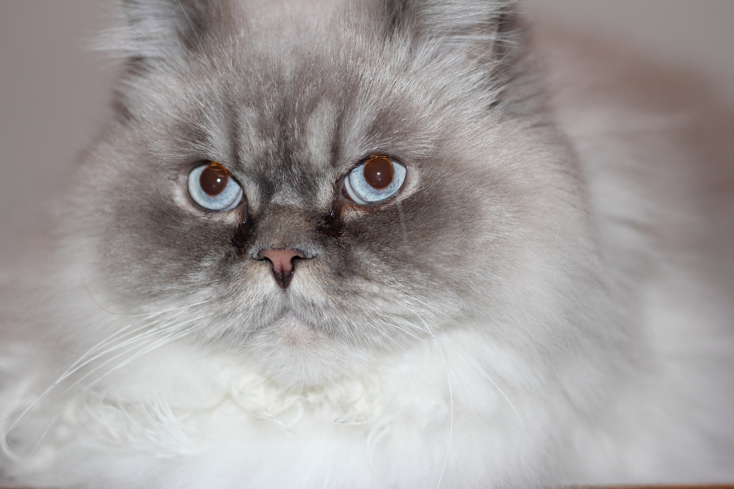 Un pensiero per Nello....