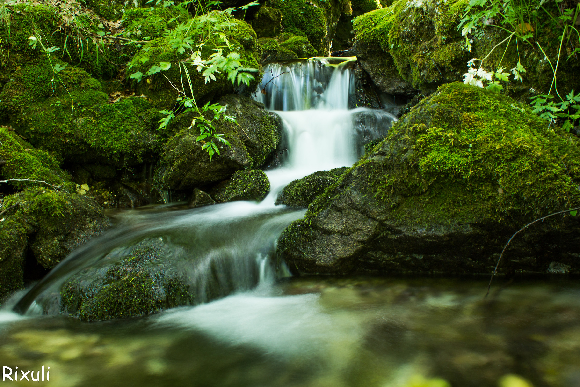 Fondillo Valley, source - Abruzzo National Park