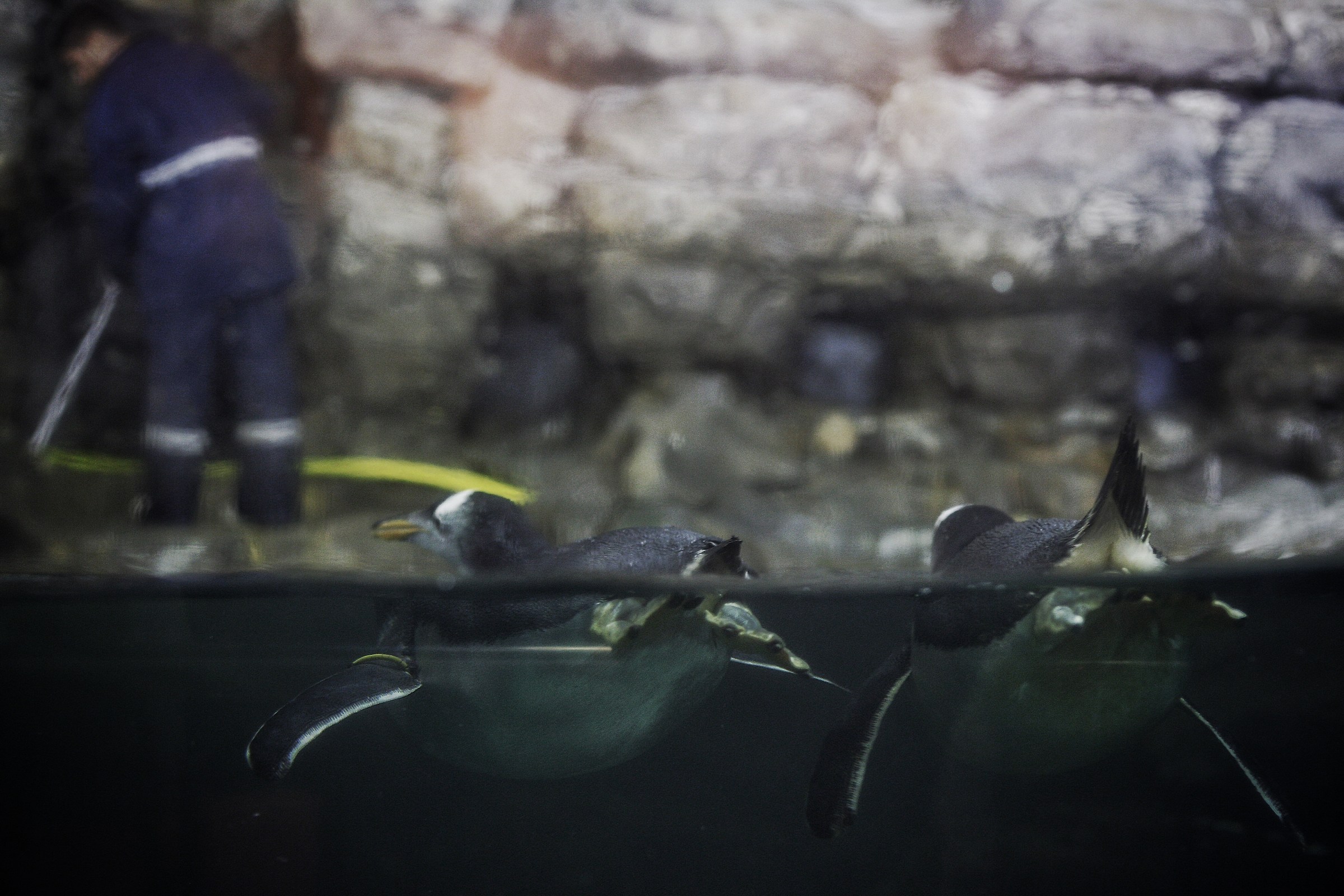 Cosa starà mai facendo?