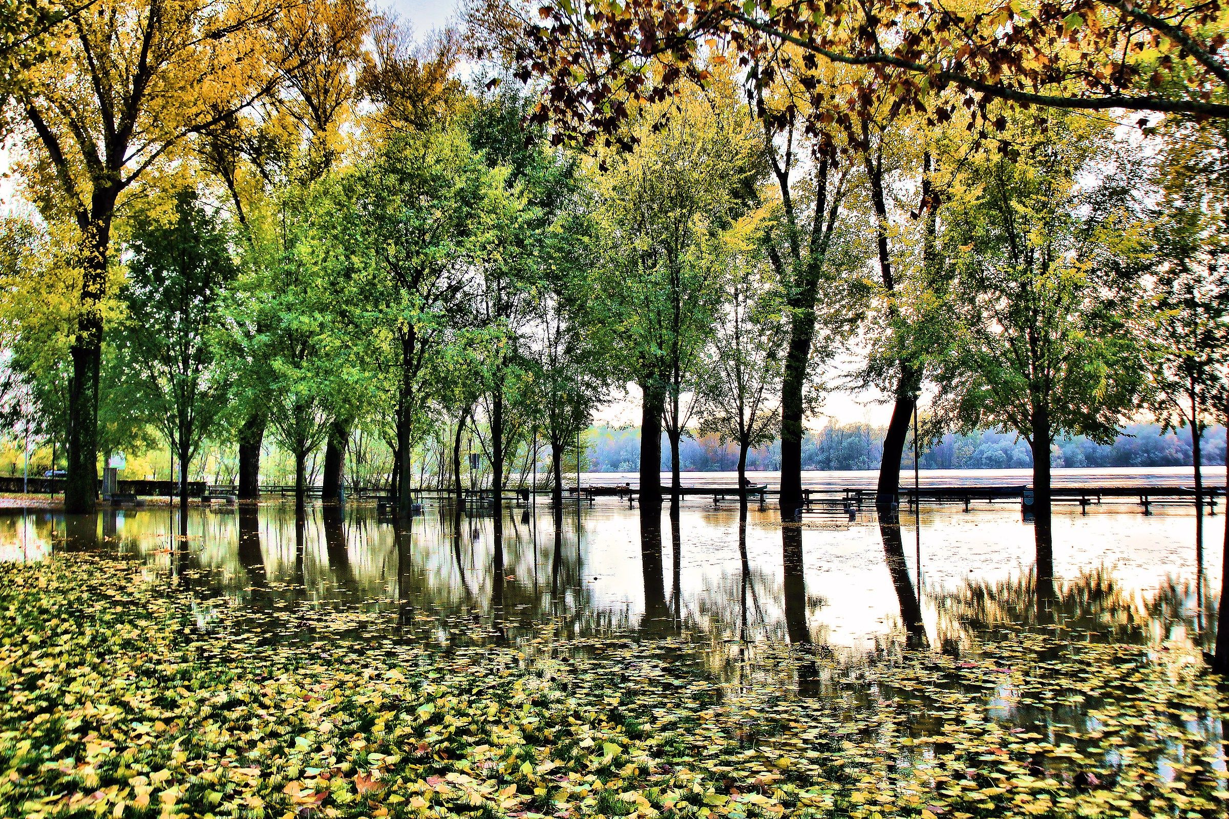 Flood of the river Po - Casalmaggiore (cr)