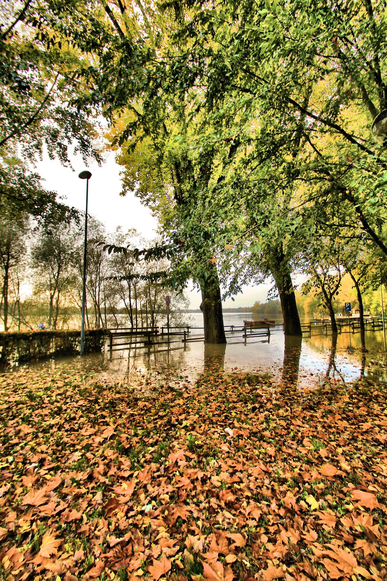 Flood of the river Po - Casalmaggiore (cr)