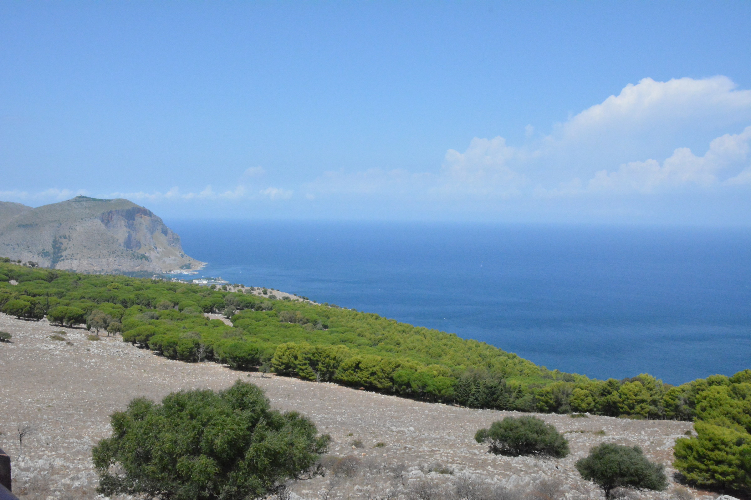 Panorama Palermitano / Monte Pellegrino