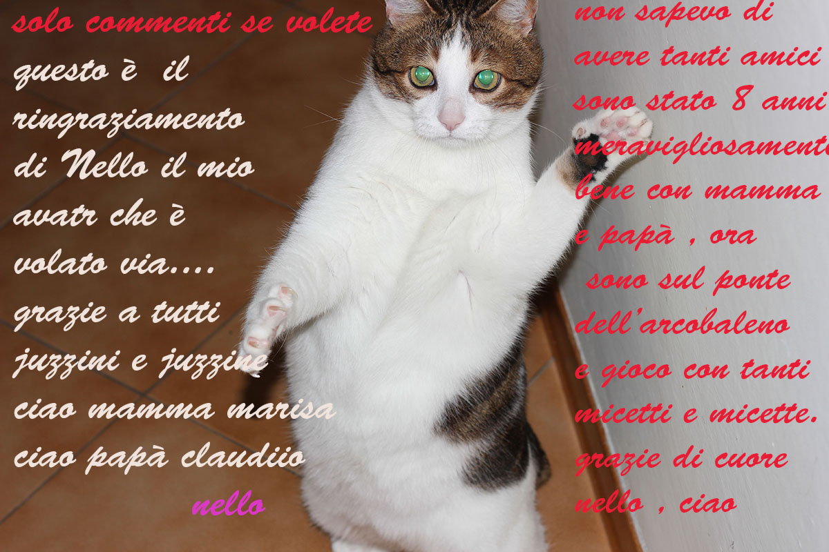 Thank you all ... In