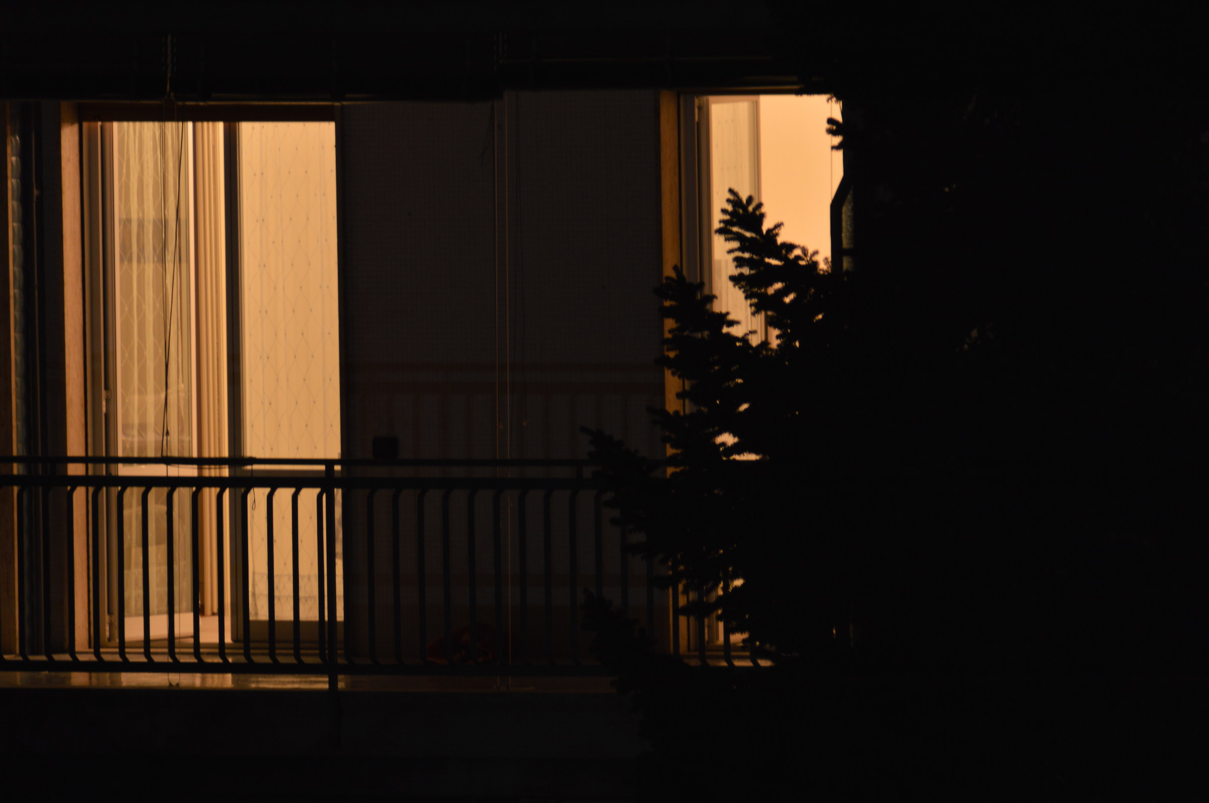 la finestra sul cortile