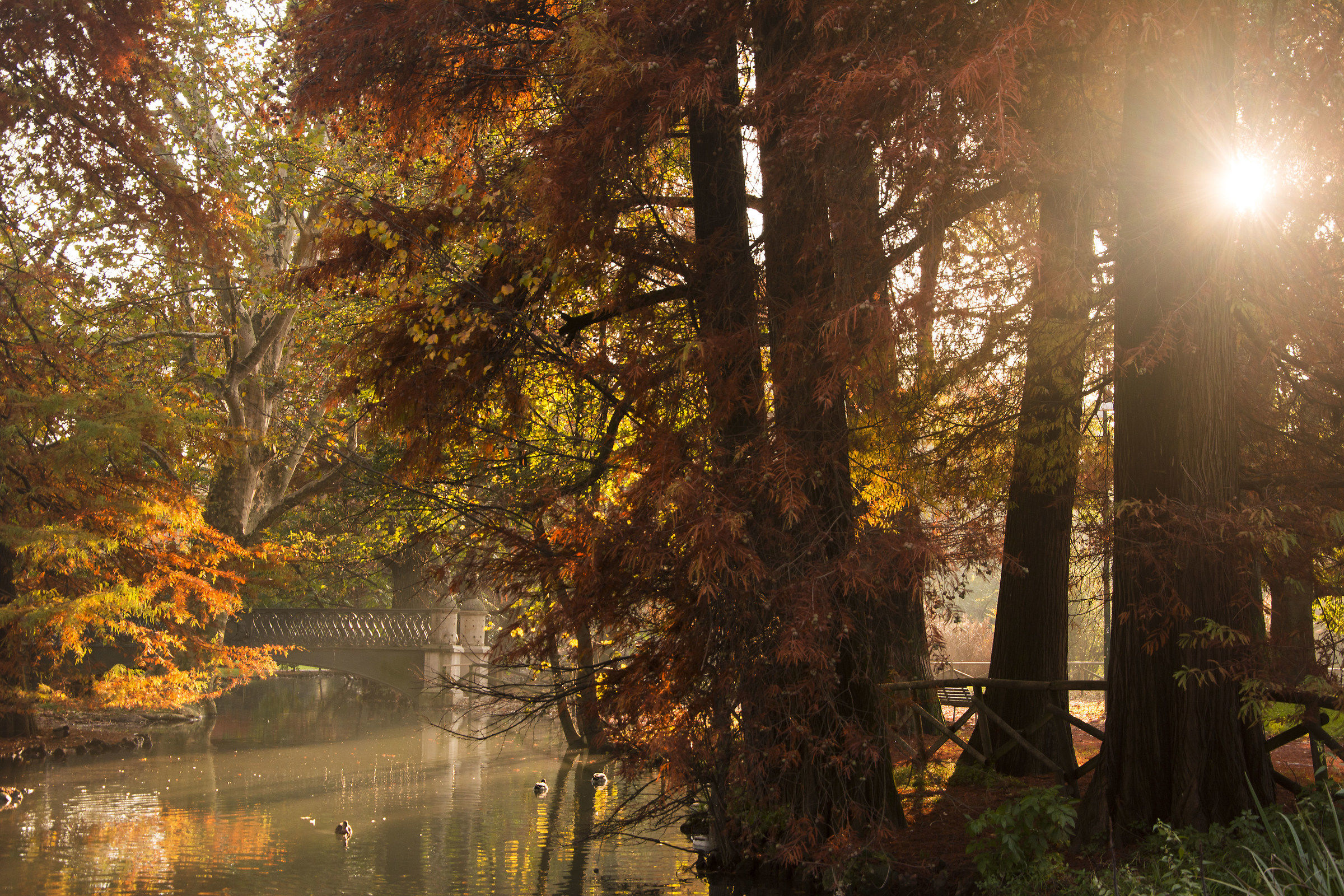 Autunno in parco Sempione