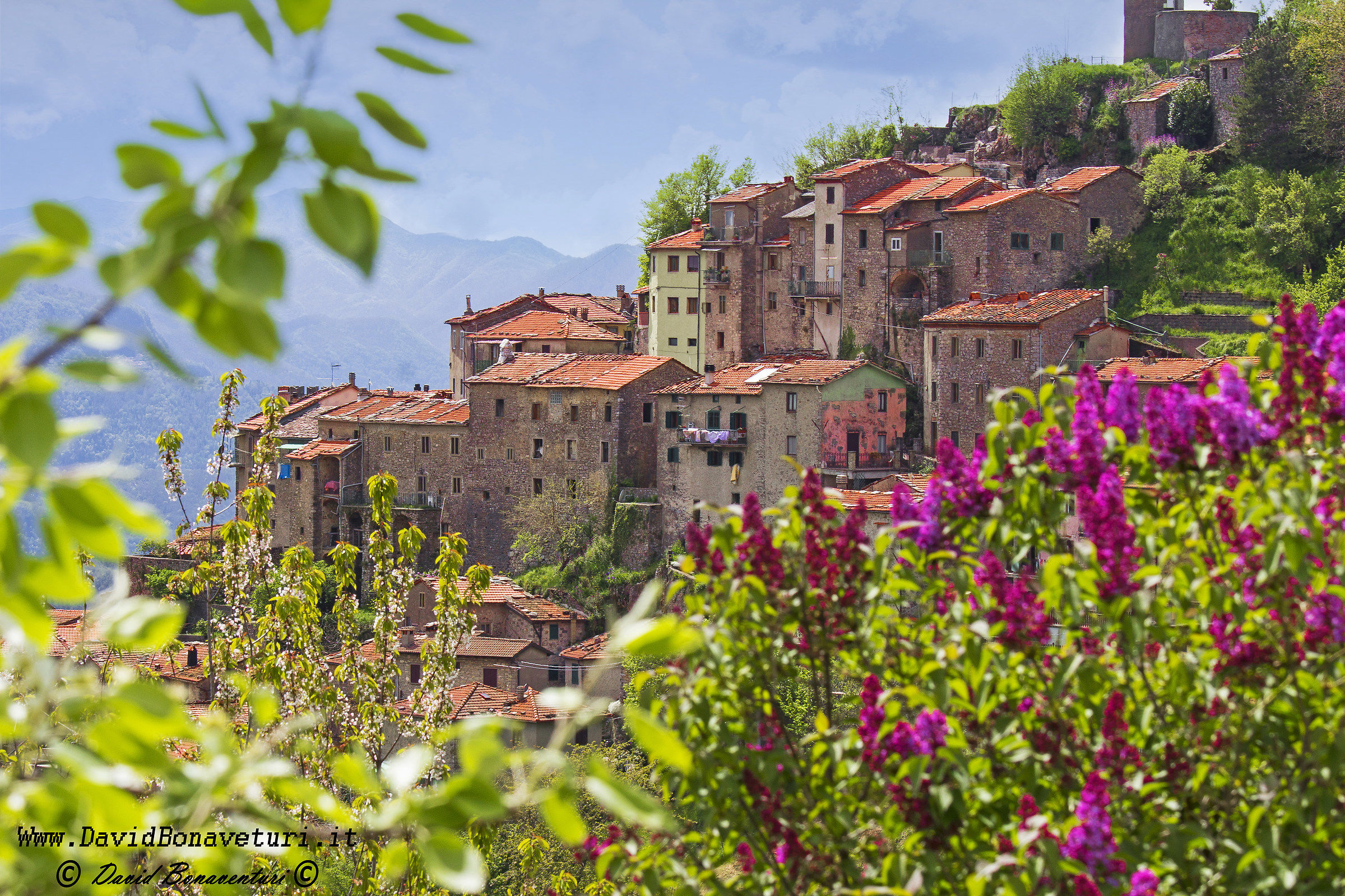 Spring awakening in Montefegatesi