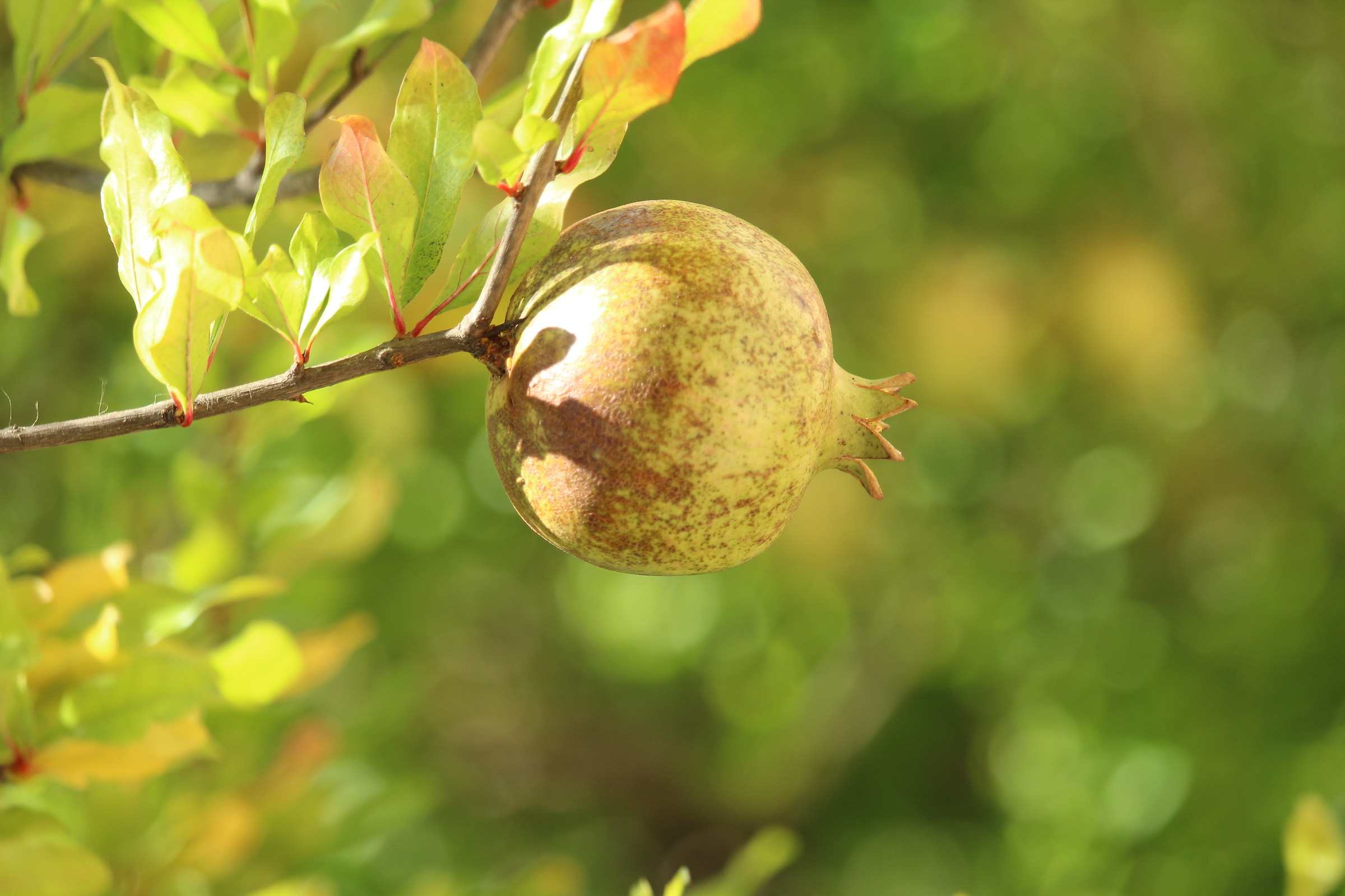 l'estate sta finendo