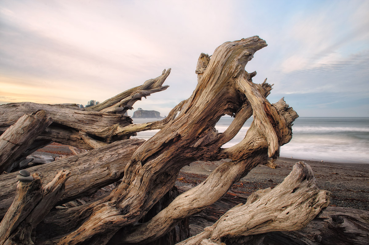 Olympic Peninsula, d700 + ND