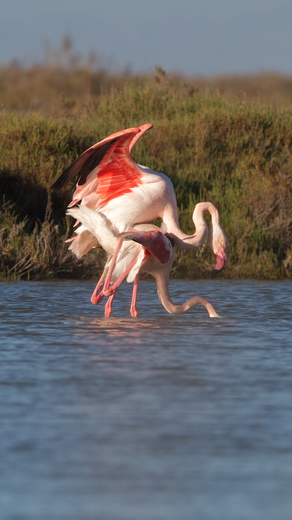 What is more beautiful in the world