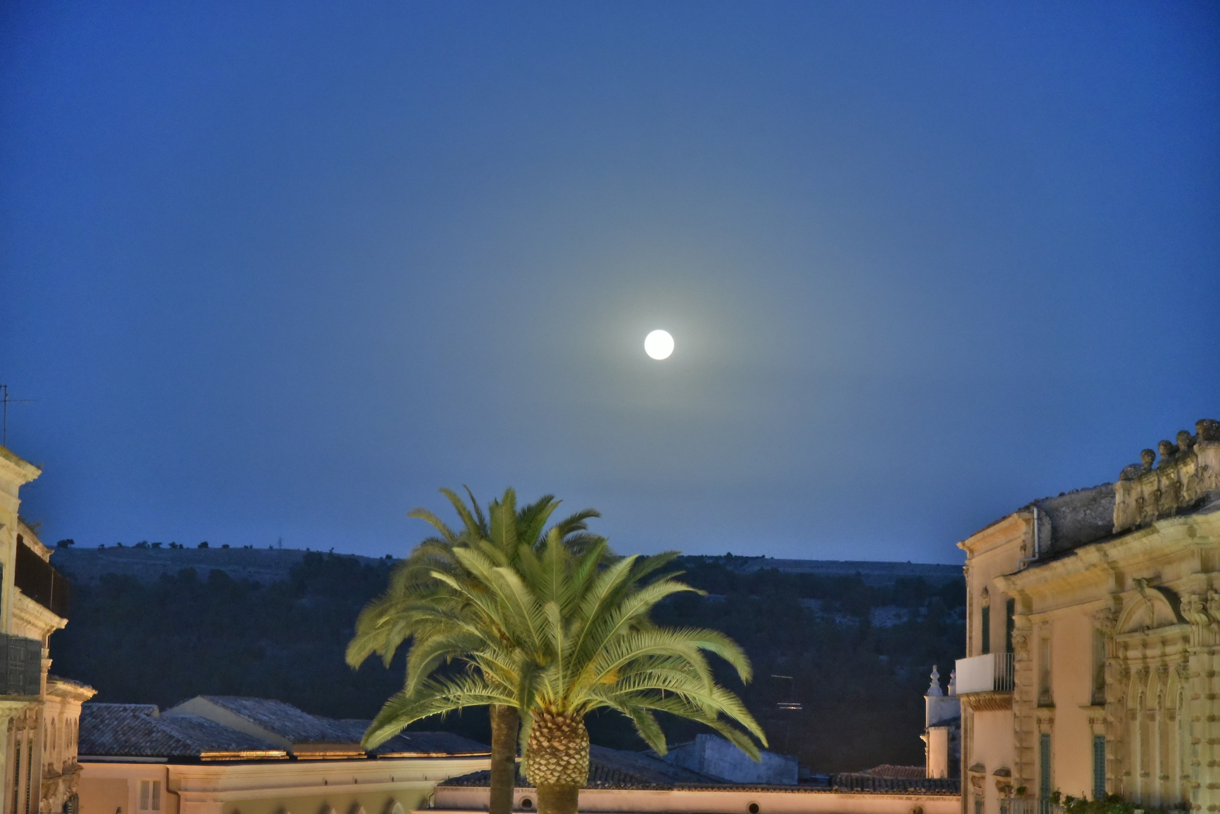 Sulle tracce di montalbano