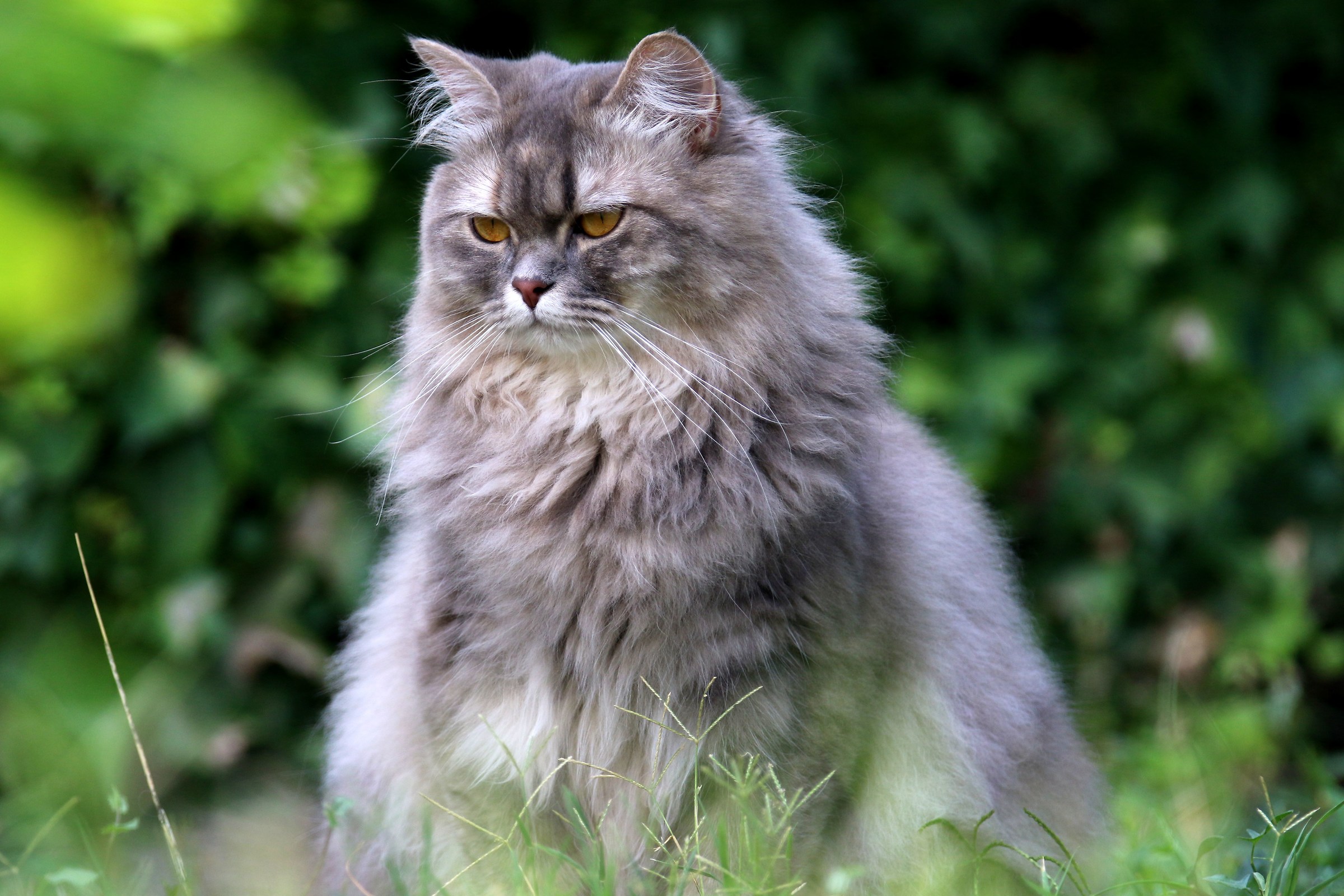 thea sullen .... soon return home ...