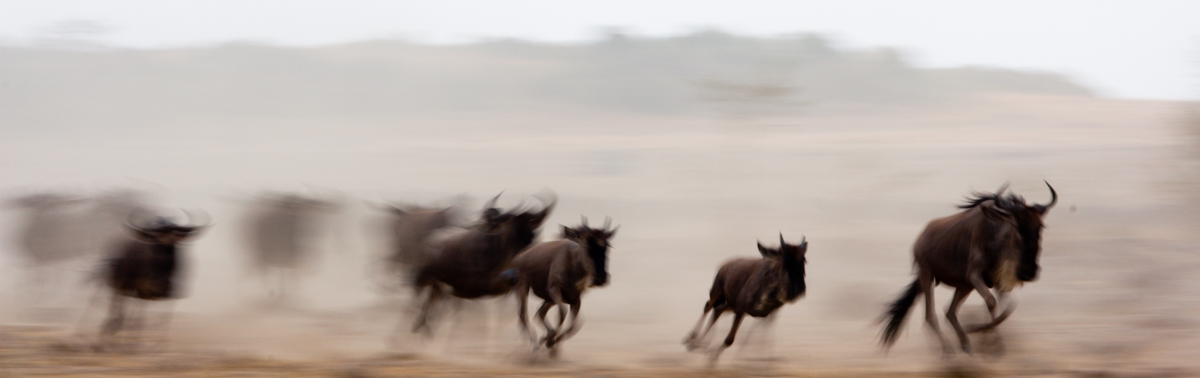 di corsa verso il Mara