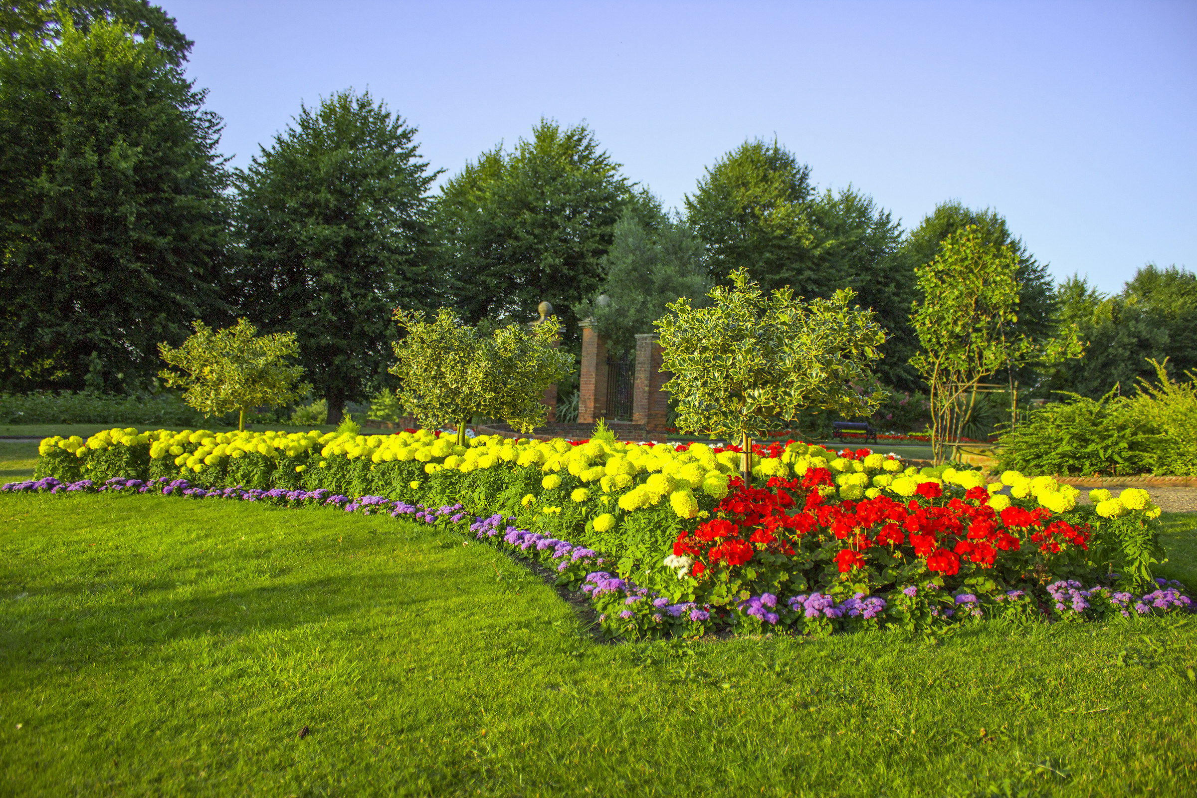 Flowers in Castle Park, Colchester (London UK)