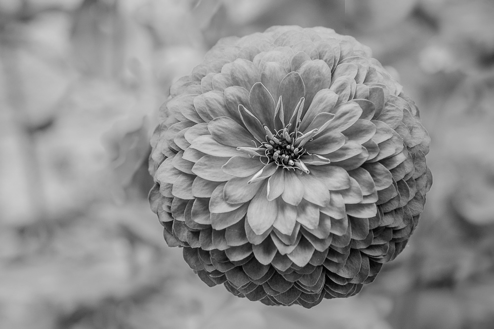 a perfect ball....................