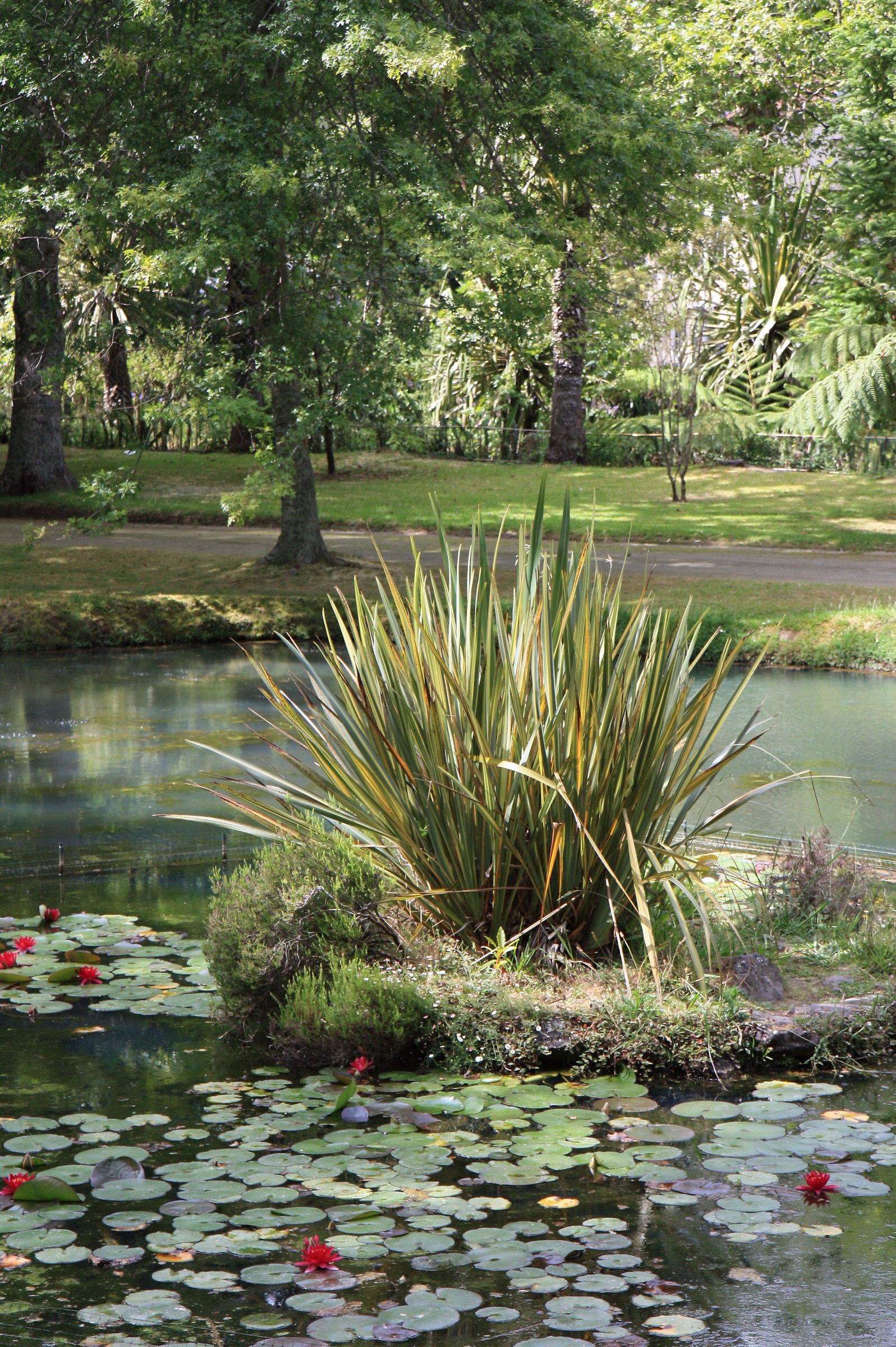 Sao Miguel Furnas botanical garden