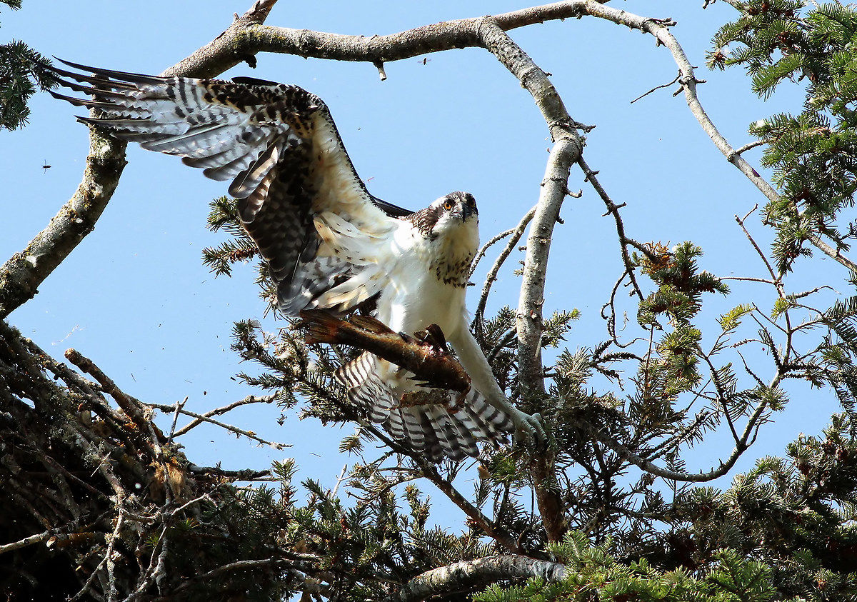 Threading the Needle