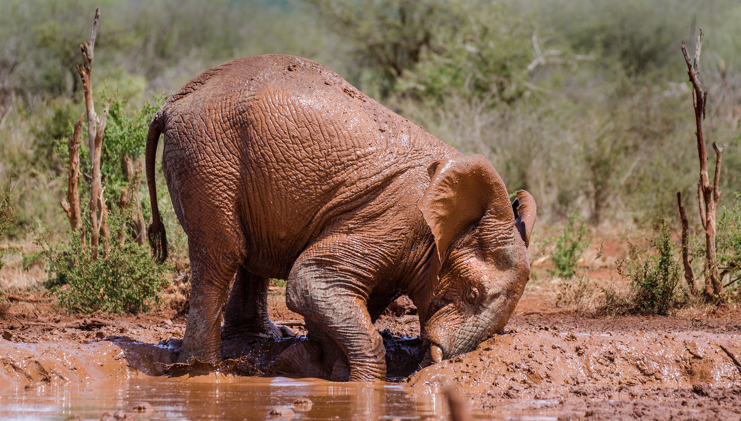 Sudafrica - Madikwe Hills
