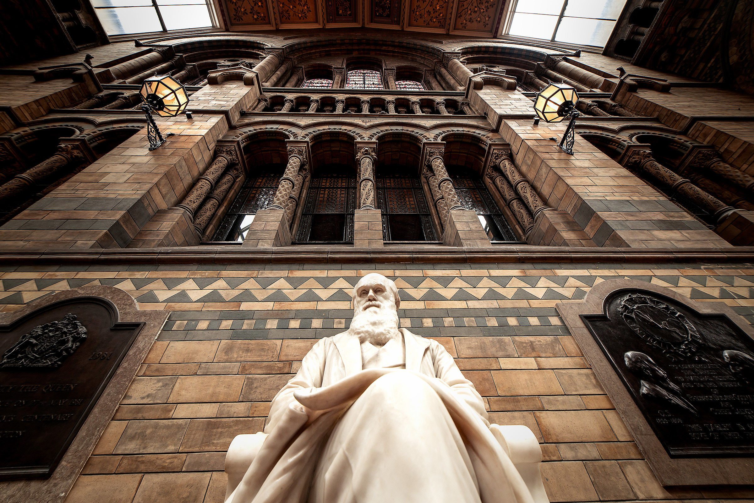 The Natural History Museum