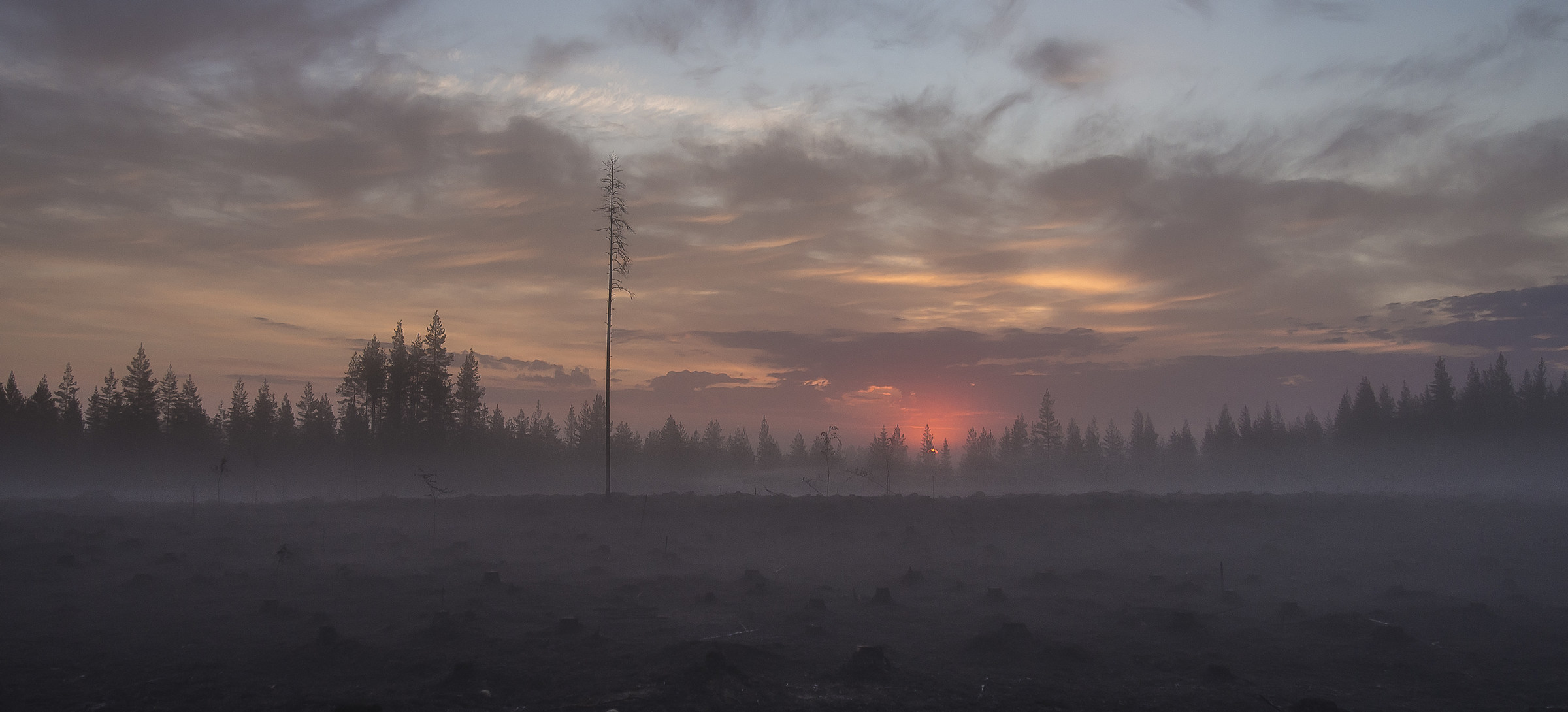 Sunrise in Lieksa. The terrain is burned .