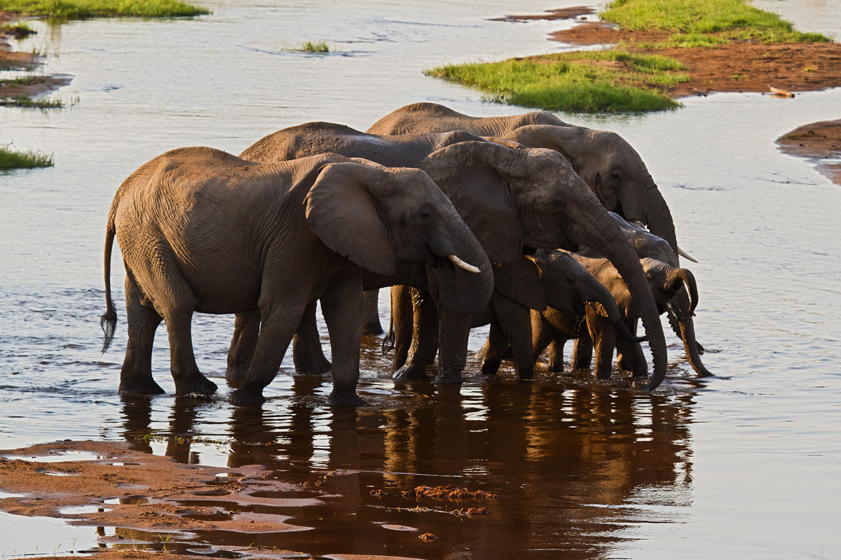 Brindisi in famiglia