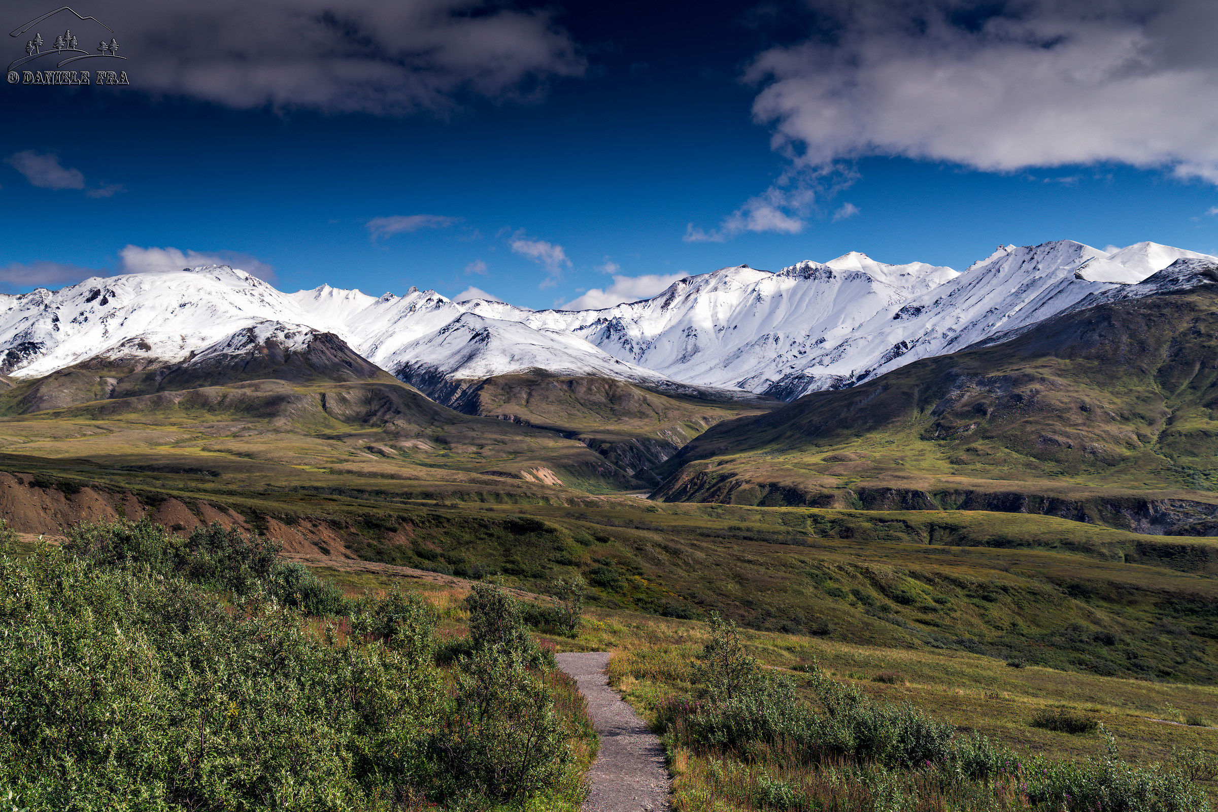 Denali National Park