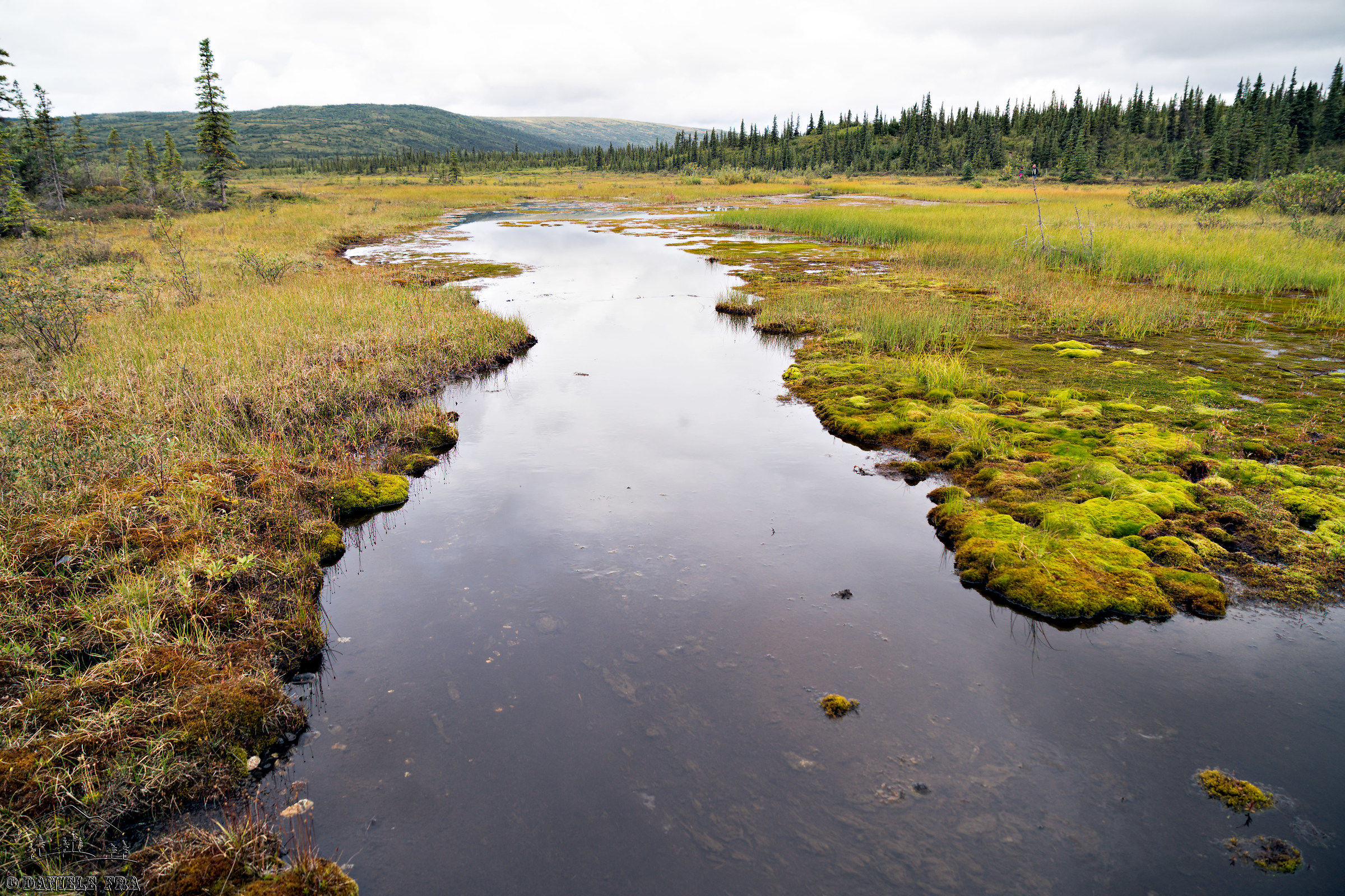 Denali National Park