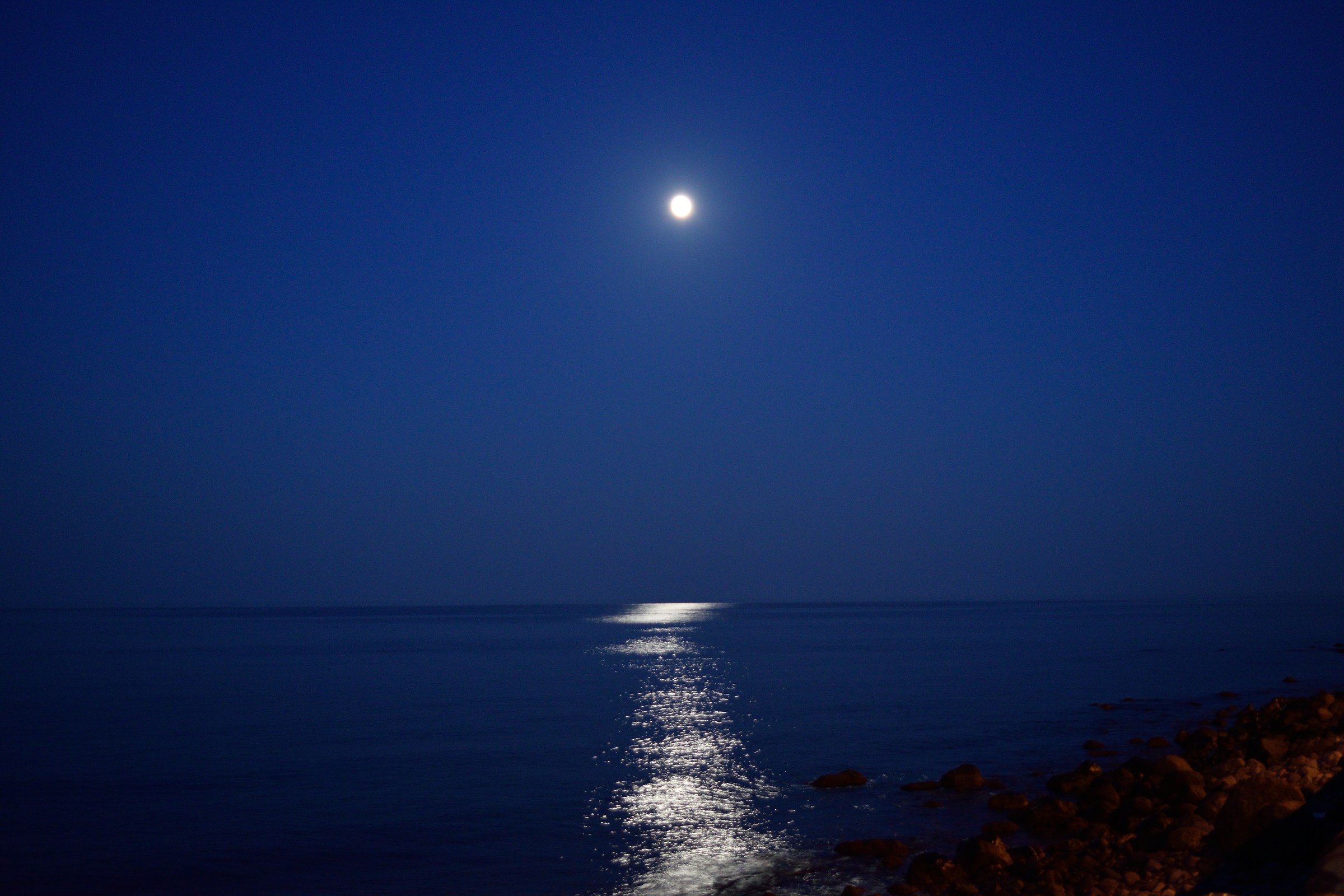 Voglia di un bagno... notturno