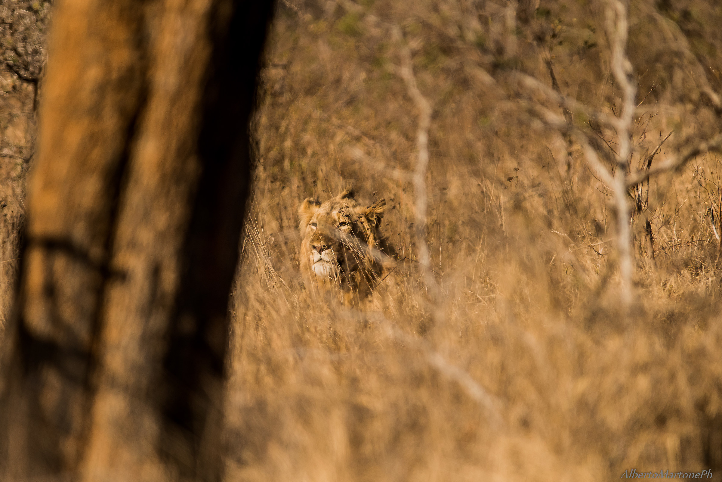Nessuno mi vede !!!!!