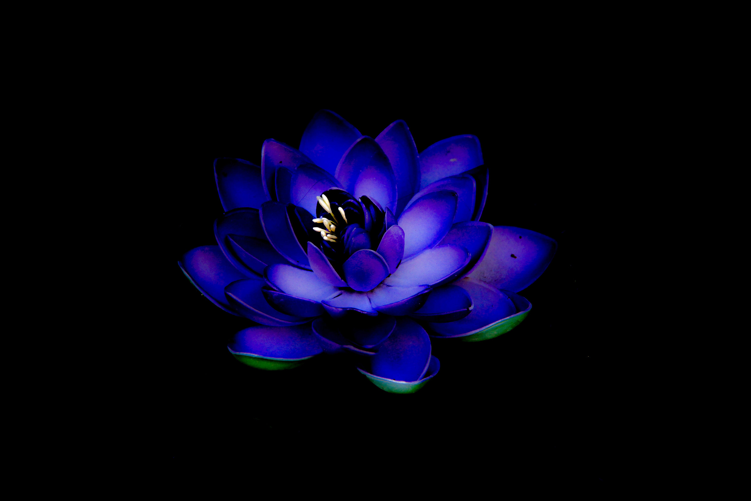 Vietnam Pavilion - Expo