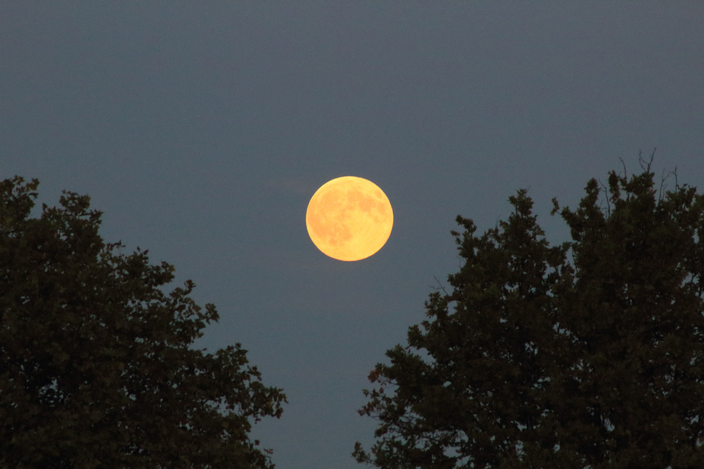 Remember watching the moon