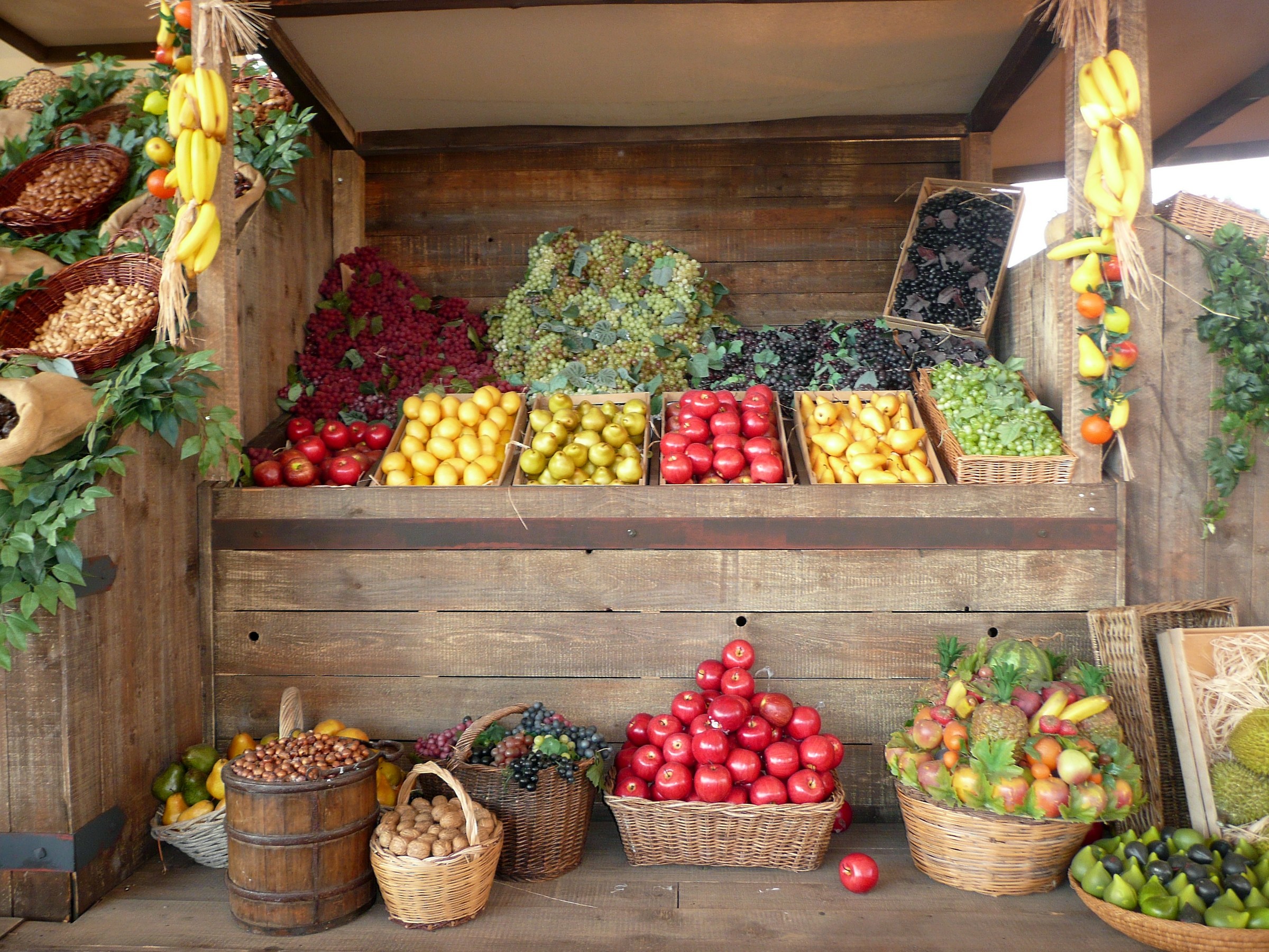 expo 2015 - Nutrire il pianeta