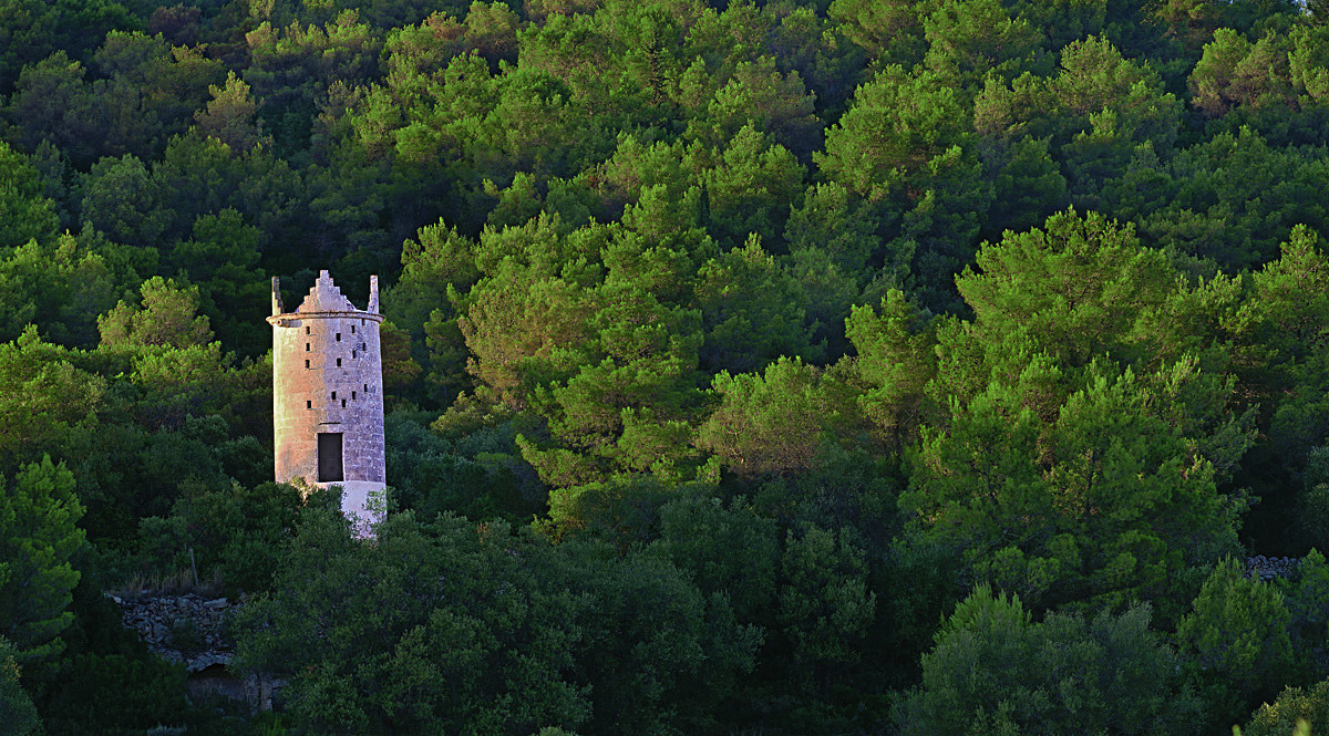 Colombaia a Gravina del Varco