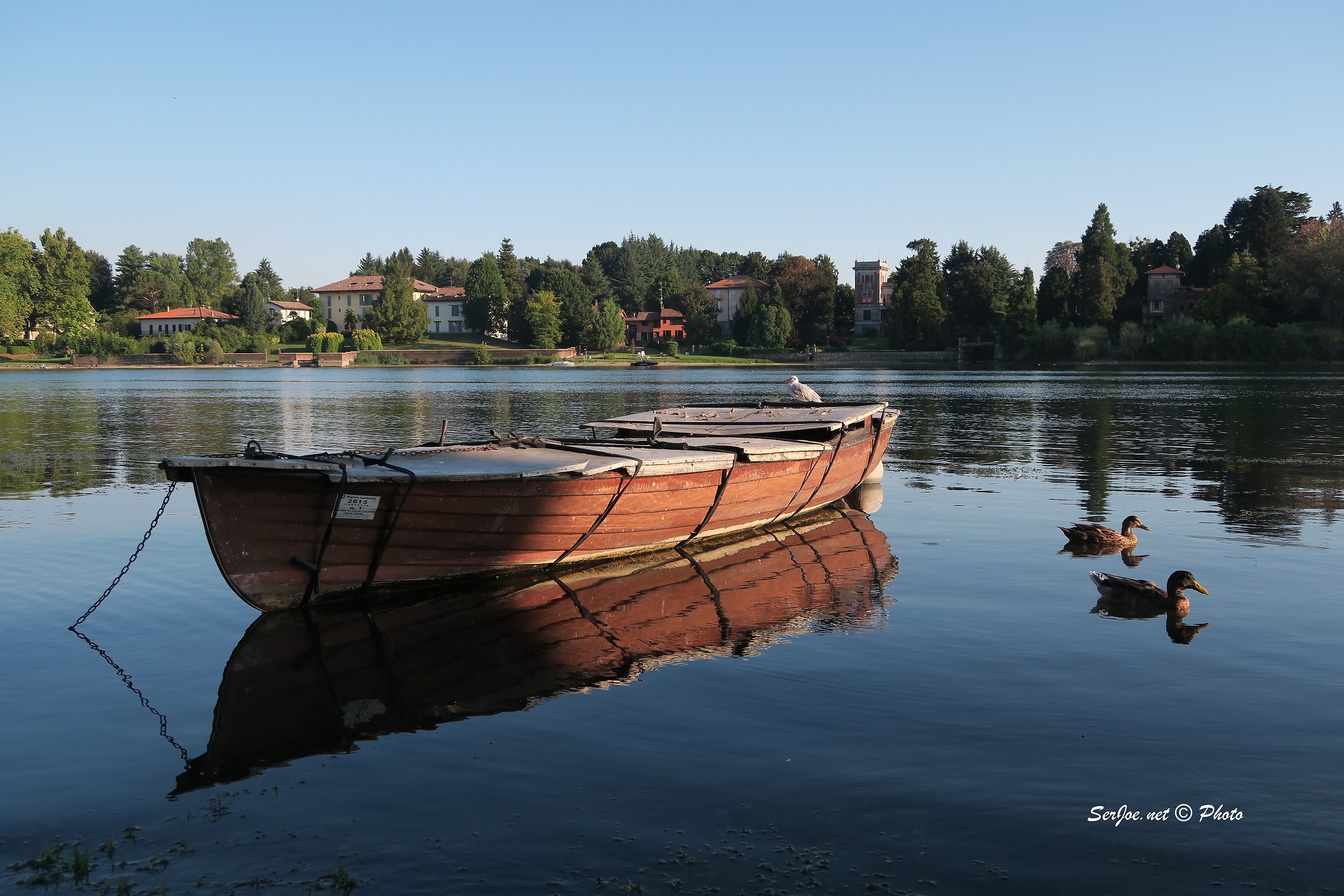 Reflections of Tranquility