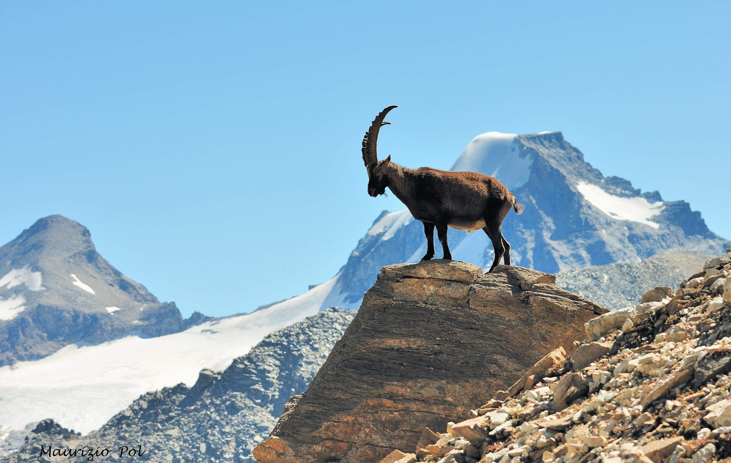 the ruler of the Alps