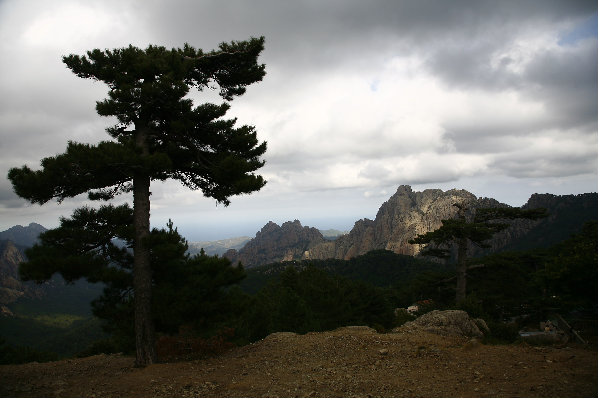 mountain in Corsica